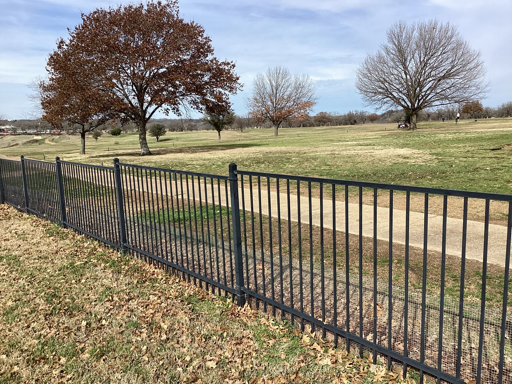 6507 Shadowview Court, Mineral Wells, TX, 76067