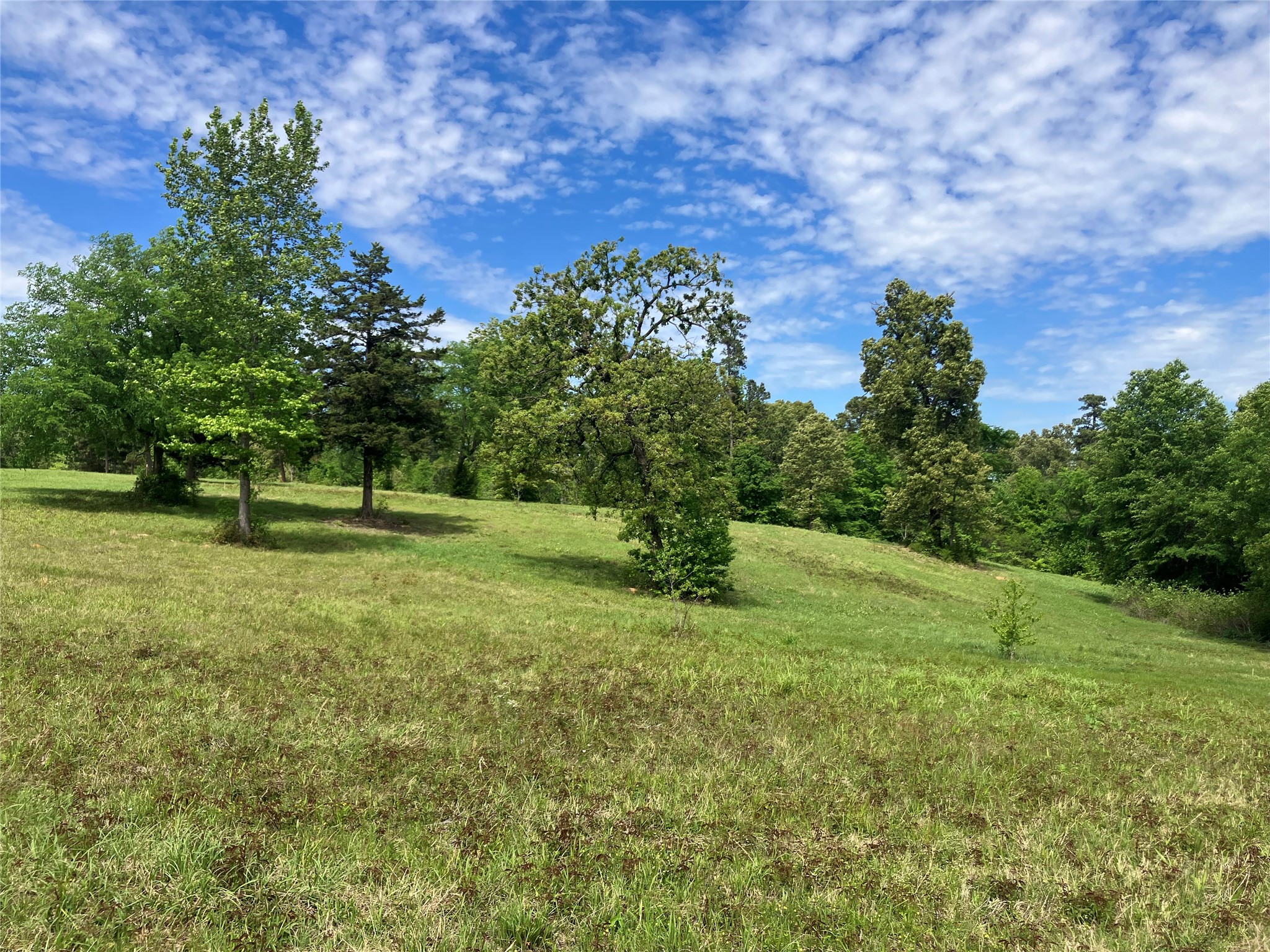 TBD Ridgeline Loop, Winona, TX, 75792