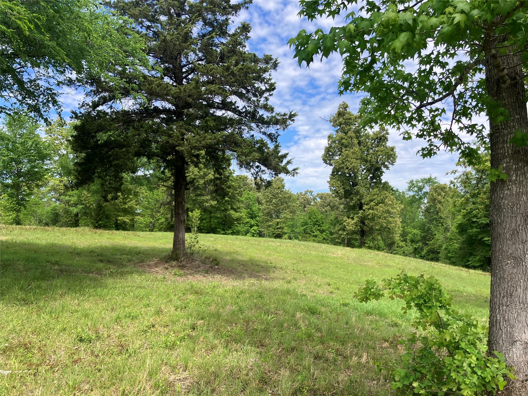 TBD Ridgeline Loop, Winona, TX, 75792