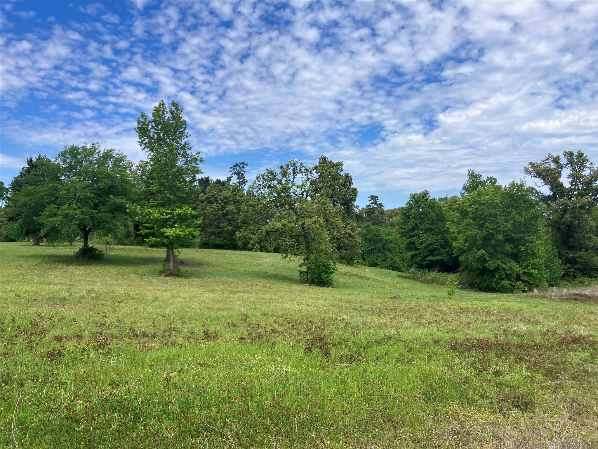 TBD Ridgeline Loop, Winona, TX, 75792
