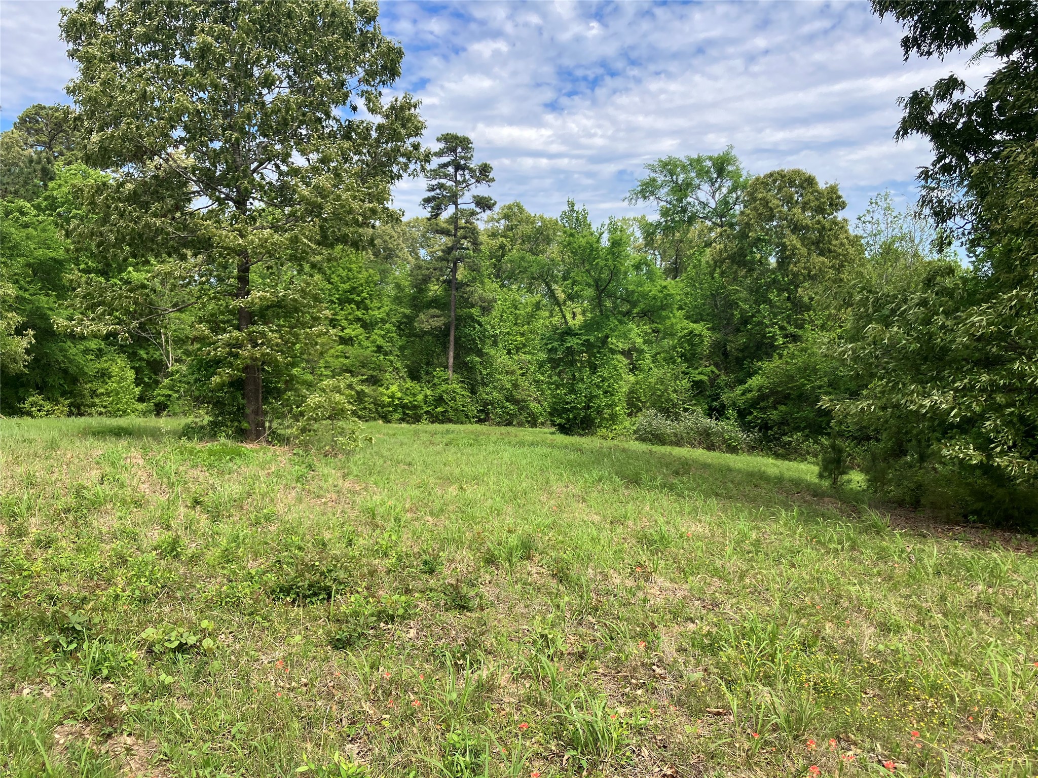 TBD Ridgeline Loop, Winona, TX, 75792