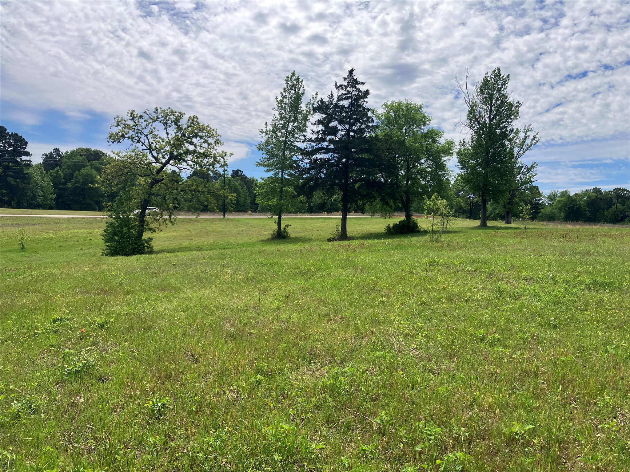 TBD Ridgeline Loop, Winona, TX, 75792