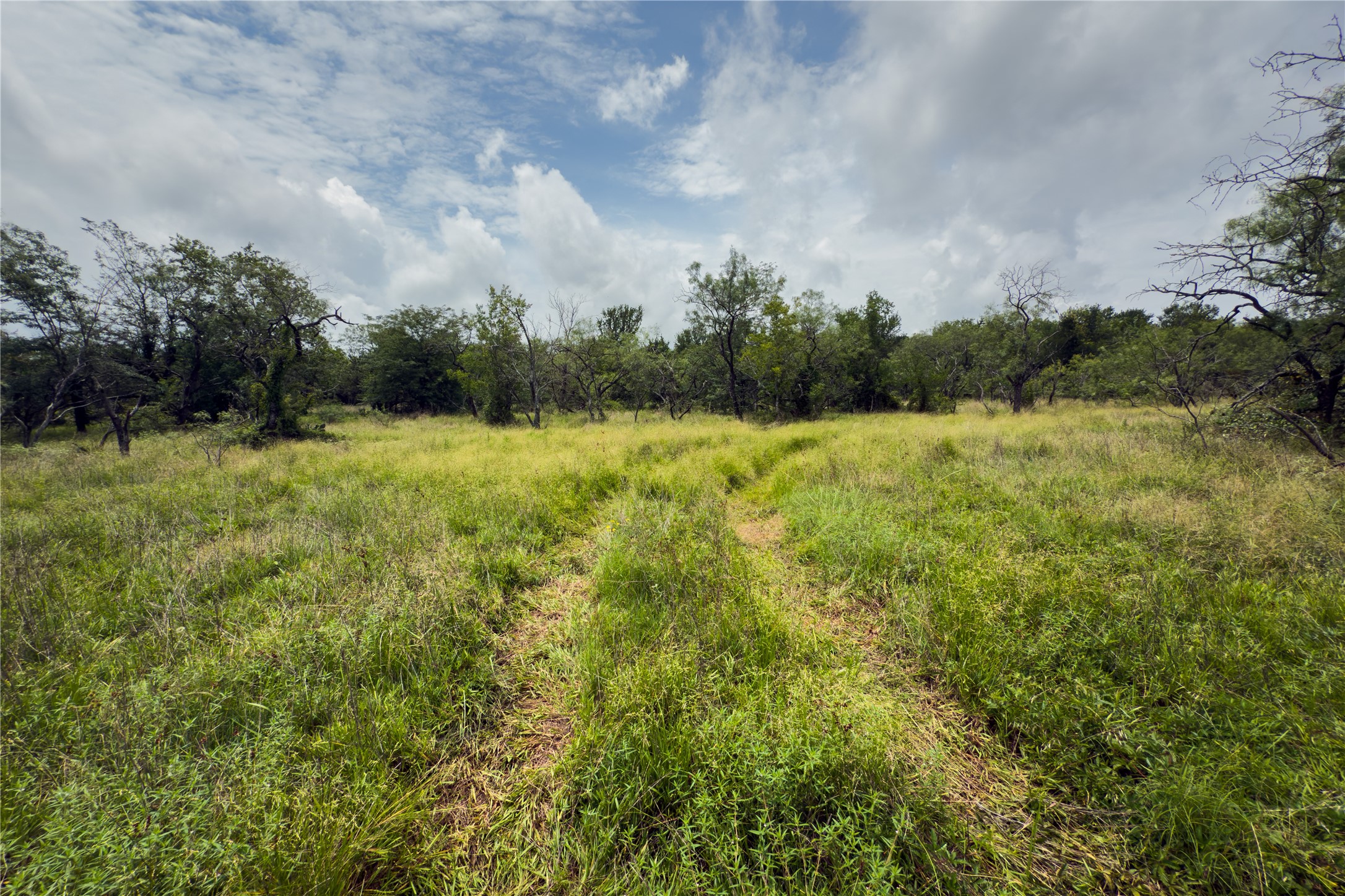 Lot 8 County Road 173, Marlin, TX, 76661