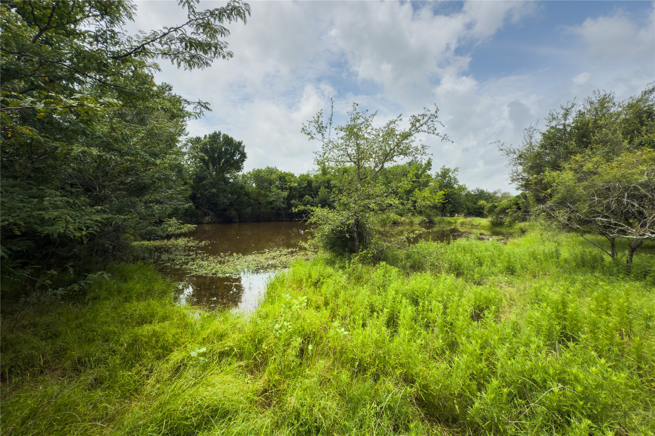 Lot 8 County Road 173, Marlin, TX, 76661