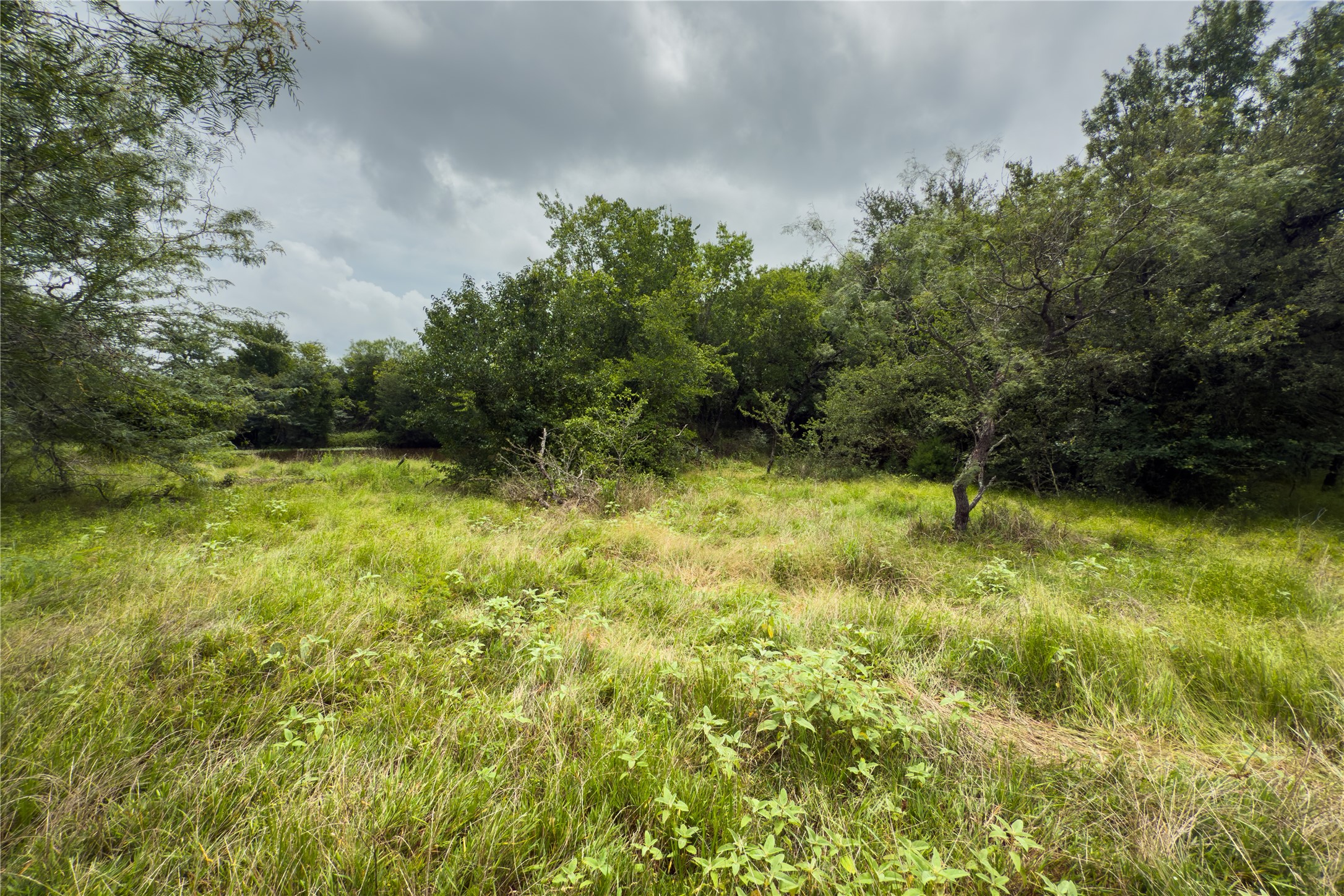 Lot 8 County Road 173, Marlin, TX, 76661