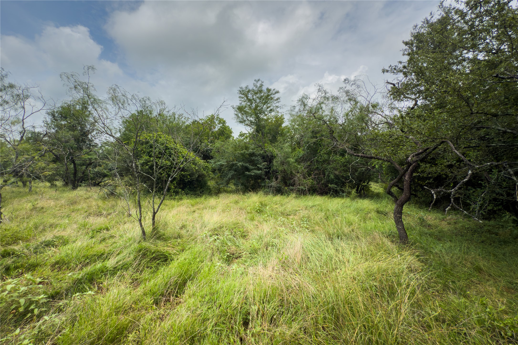 Lot 8 County Road 173, Marlin, TX, 76661