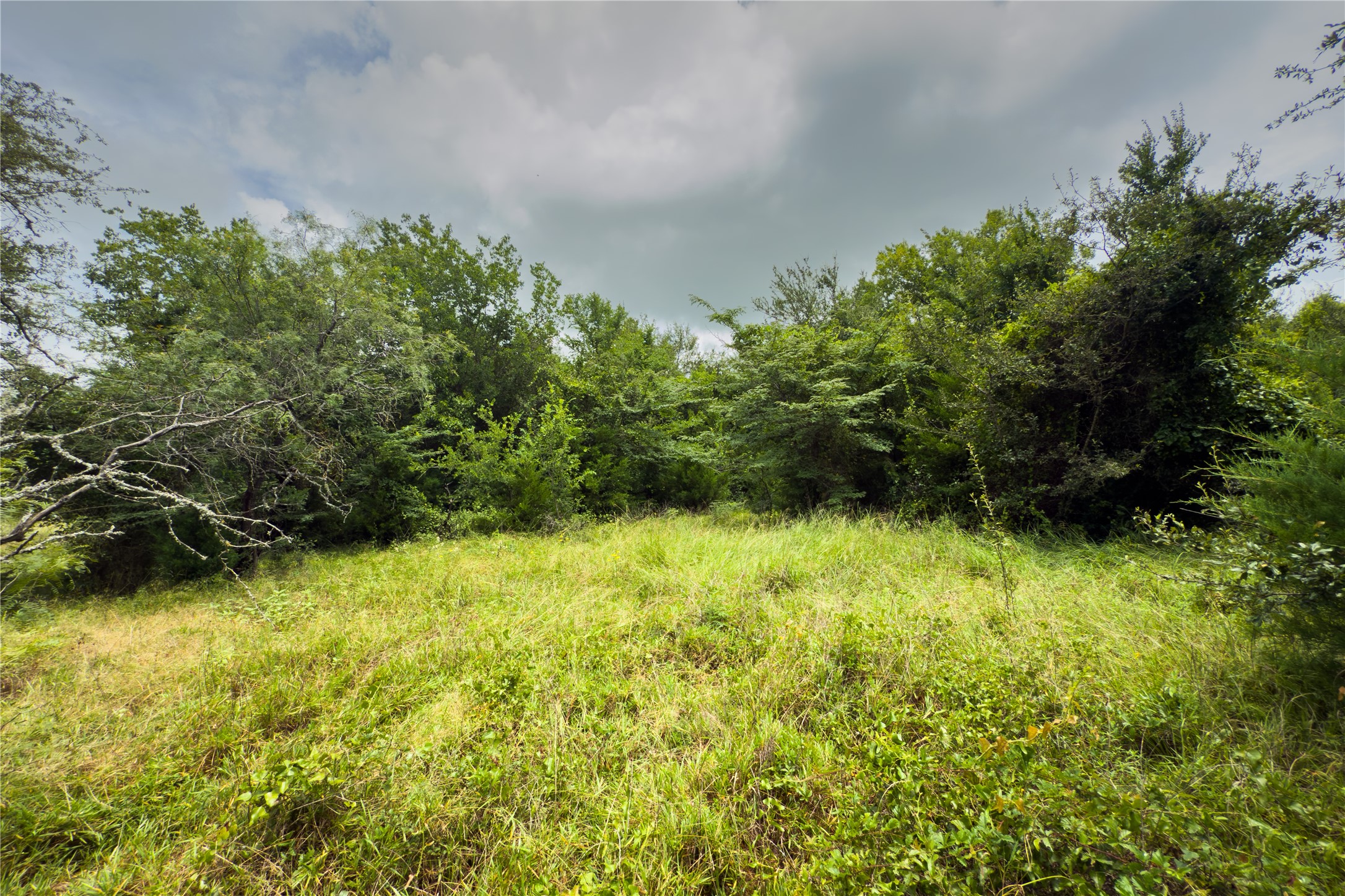 Lot 8 County Road 173, Marlin, TX, 76661