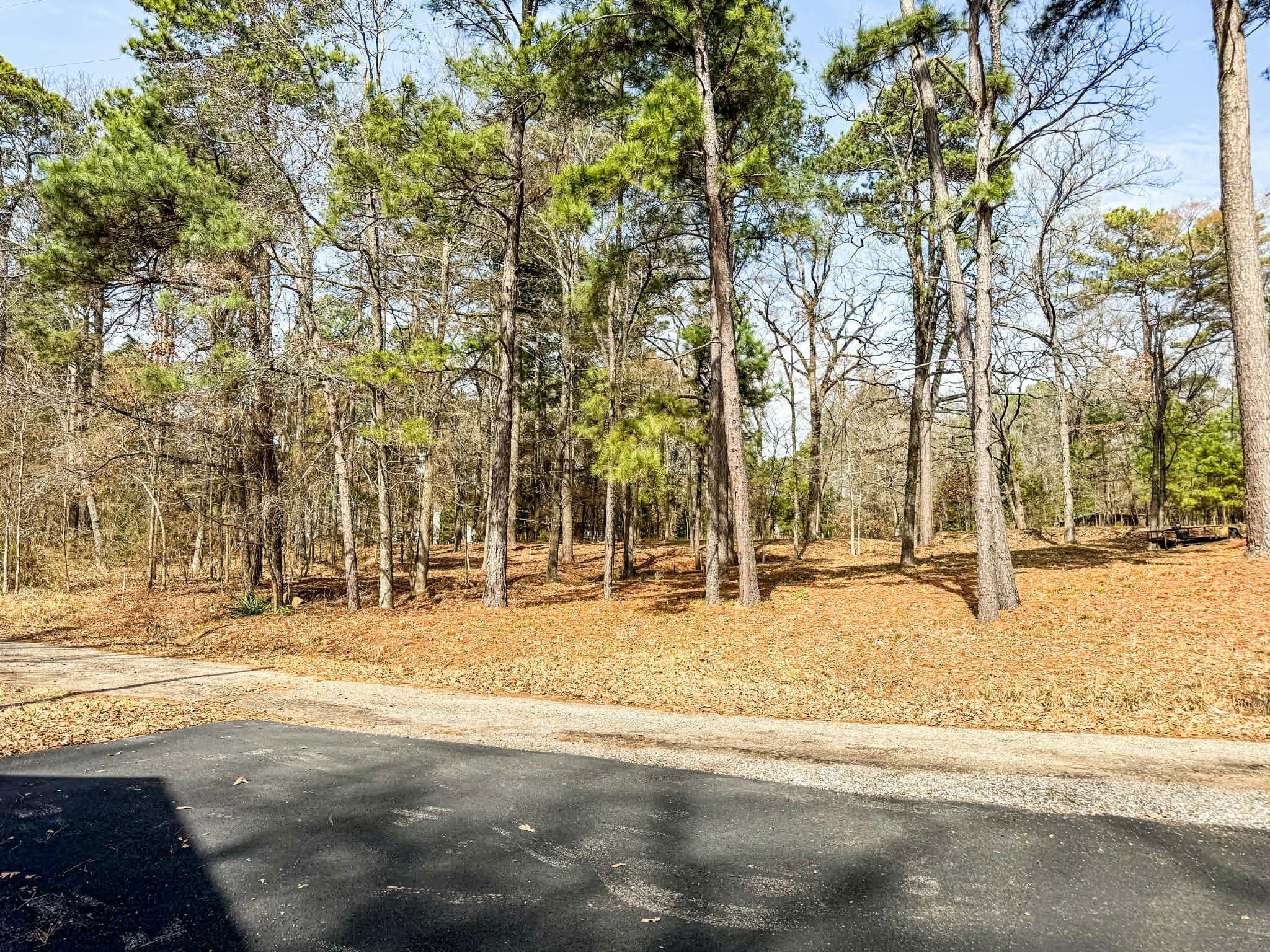 670 Redbud Drive, Avinger, TX, 75630