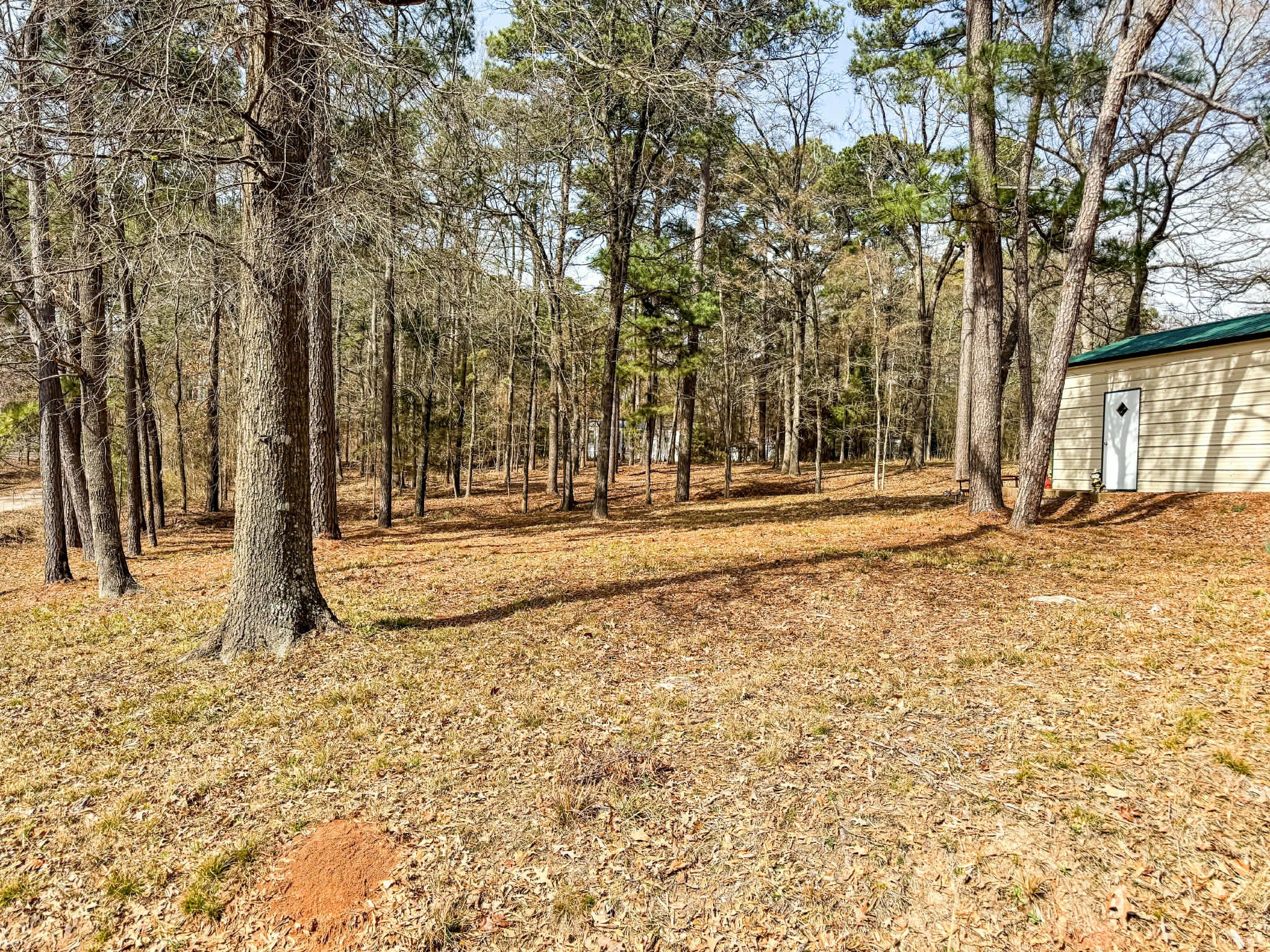 670 Redbud Drive, Avinger, TX, 75630