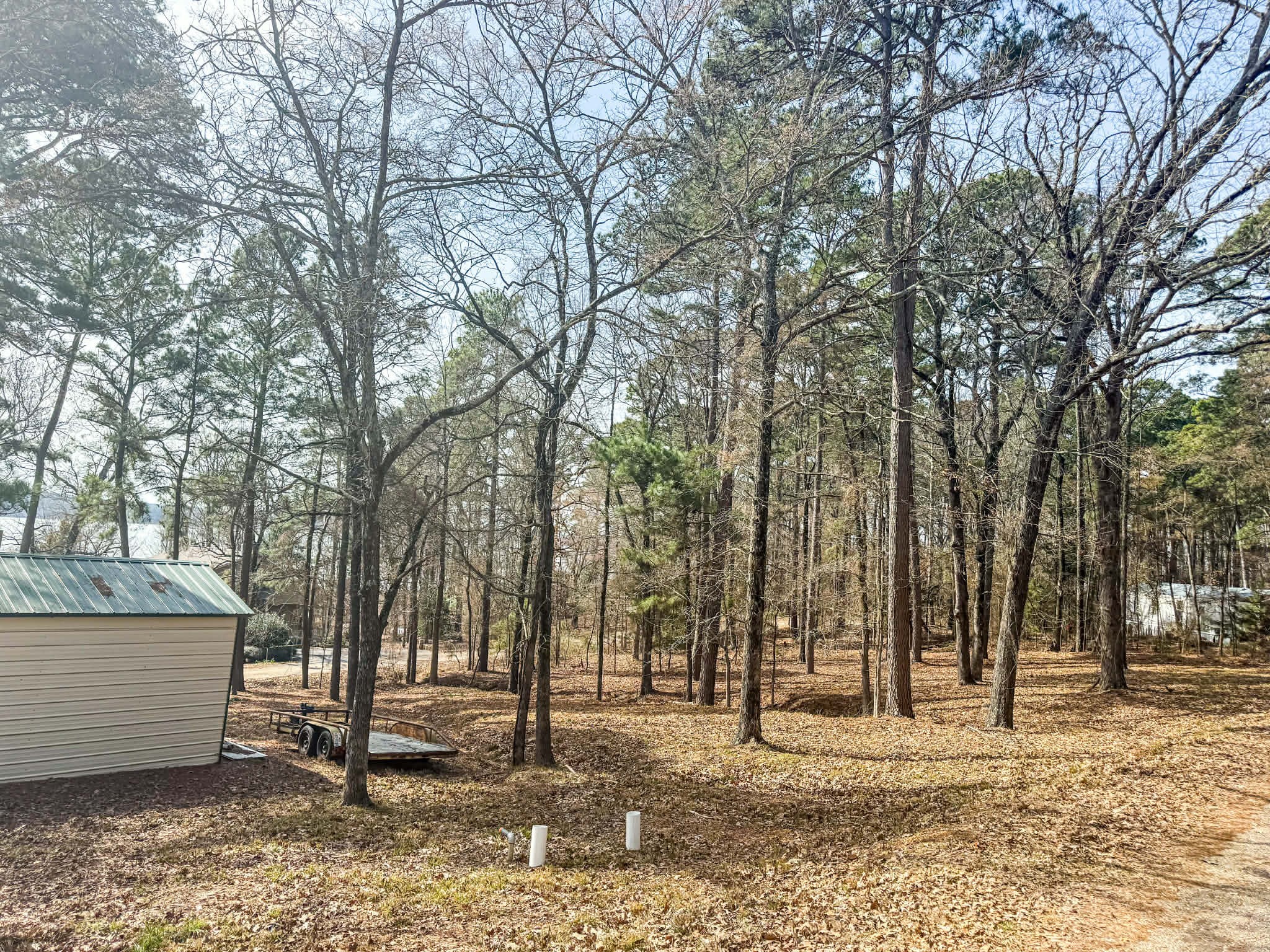 670 Redbud Drive, Avinger, TX, 75630