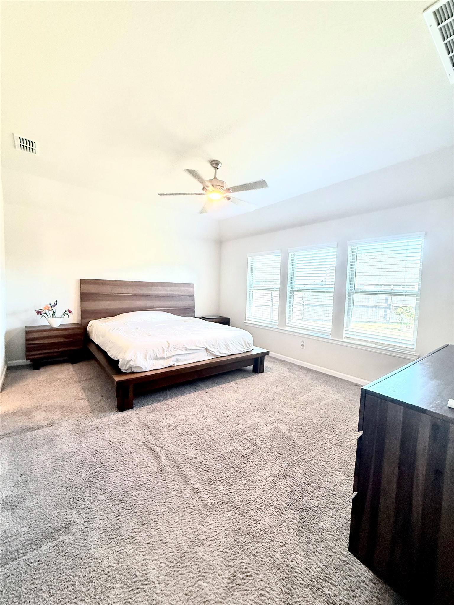 6718 Goldenrain Drive, Venus, TX, 76084