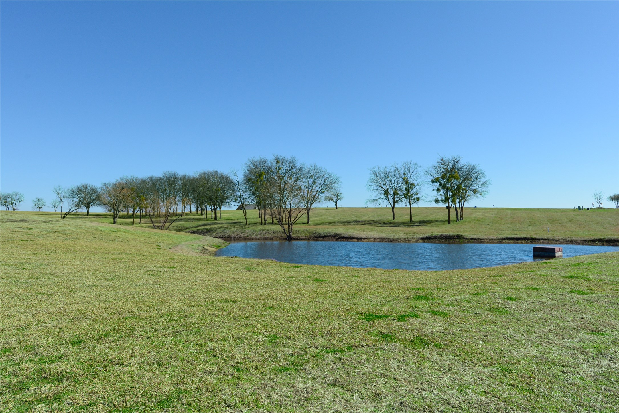 Property photo 02 of 245 See Forever, Kemp, TX 75143 | MLS #21184803