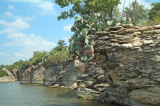 203 Evans Street, Lake Bridgeport, TX, 76426