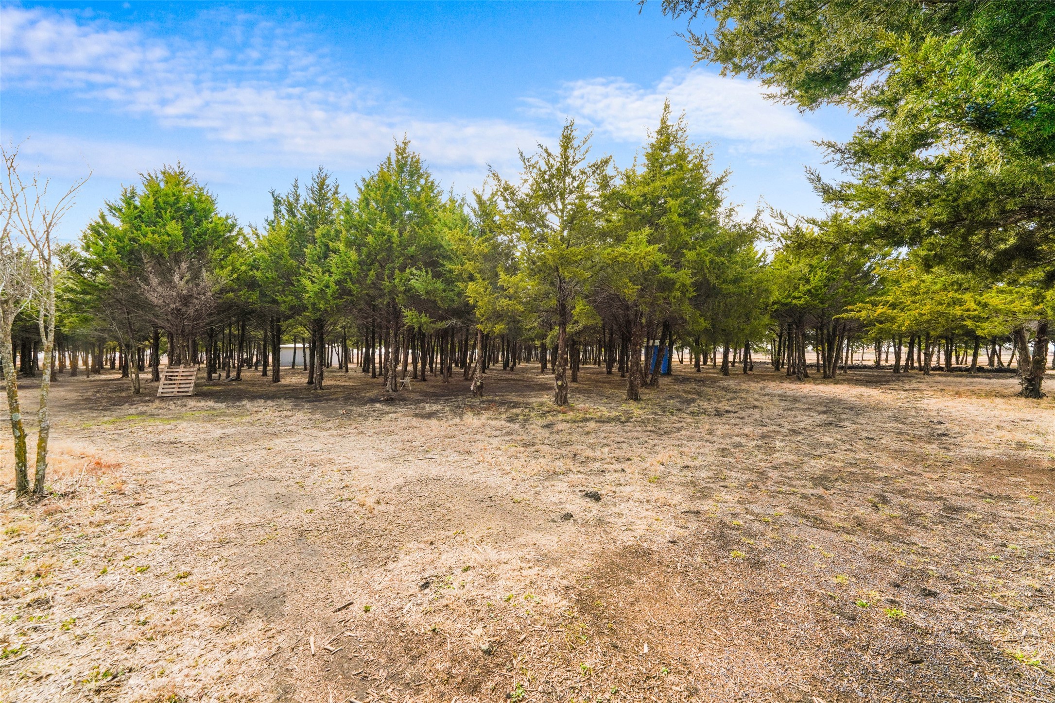 710 E Reindeer Road, Lancaster, TX, 75146