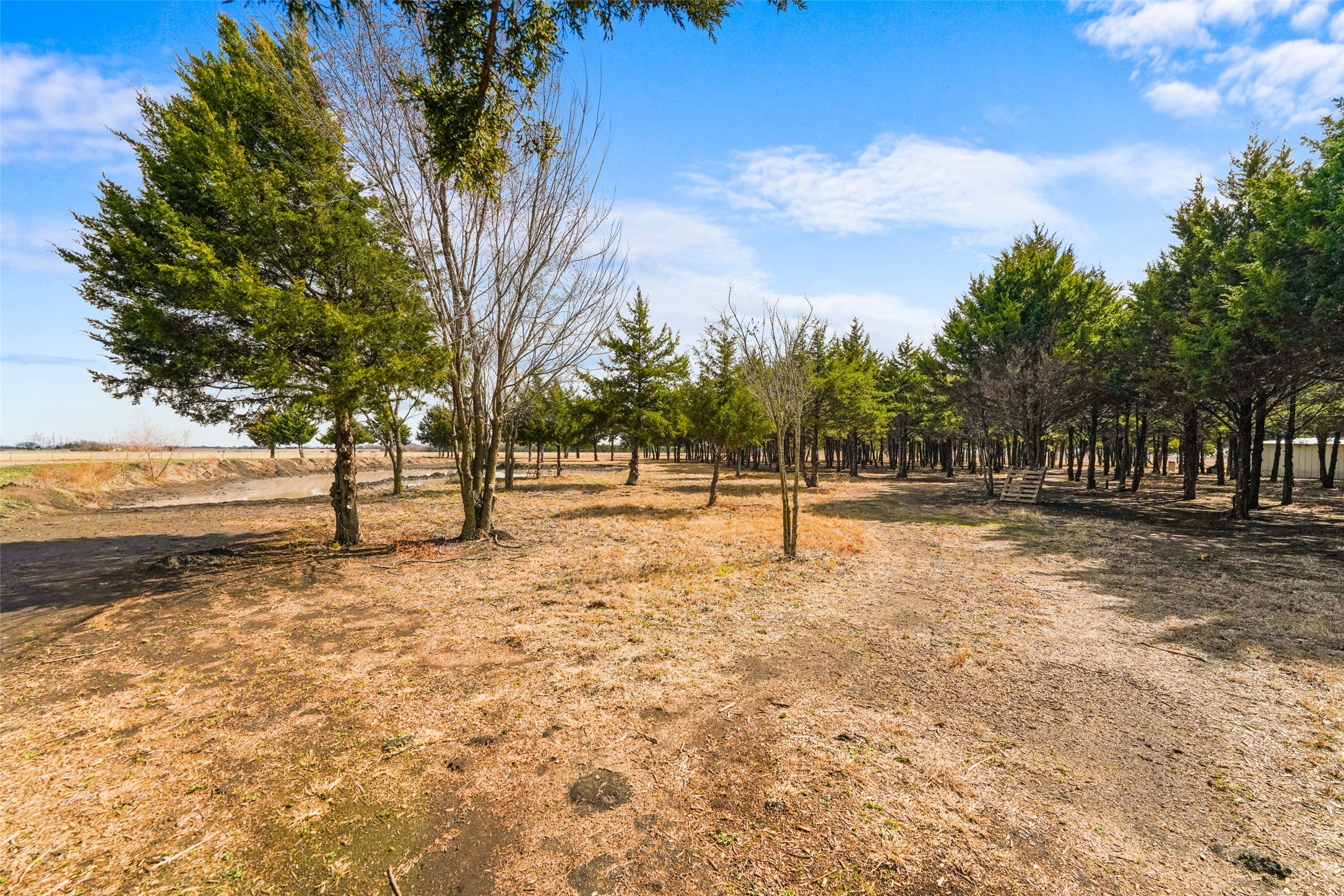 710 E Reindeer Road, Lancaster, TX, 75146