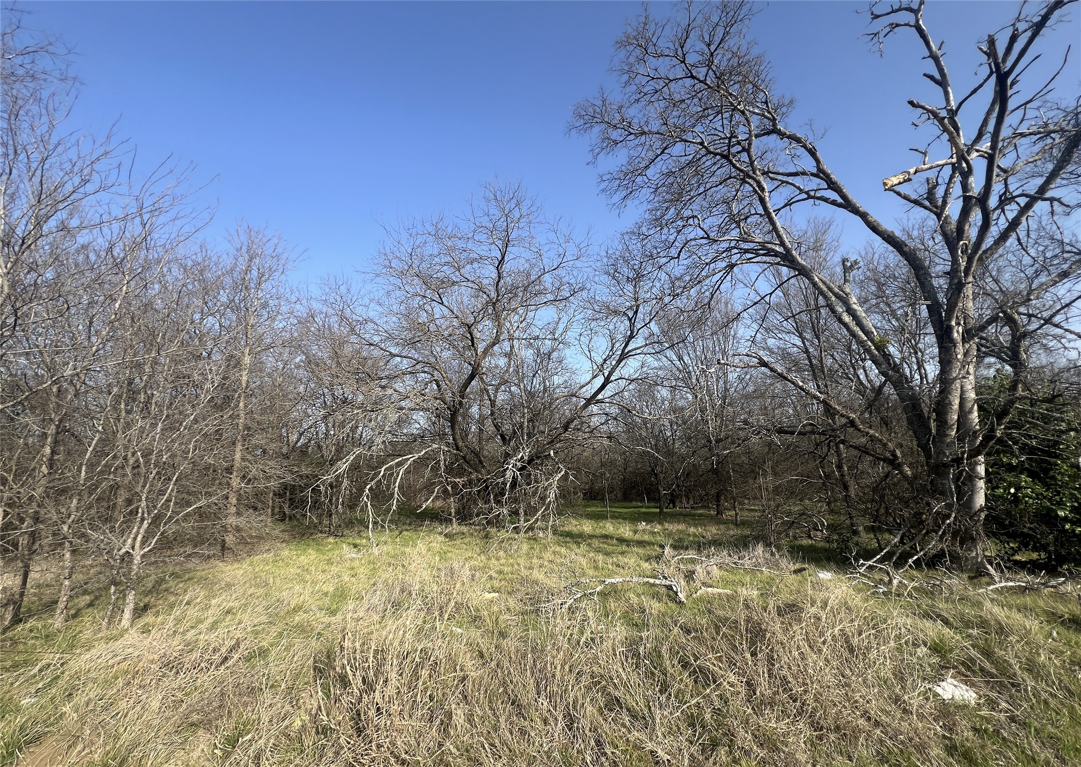 13700 Gholson Road, Gholson, TX, 76705
