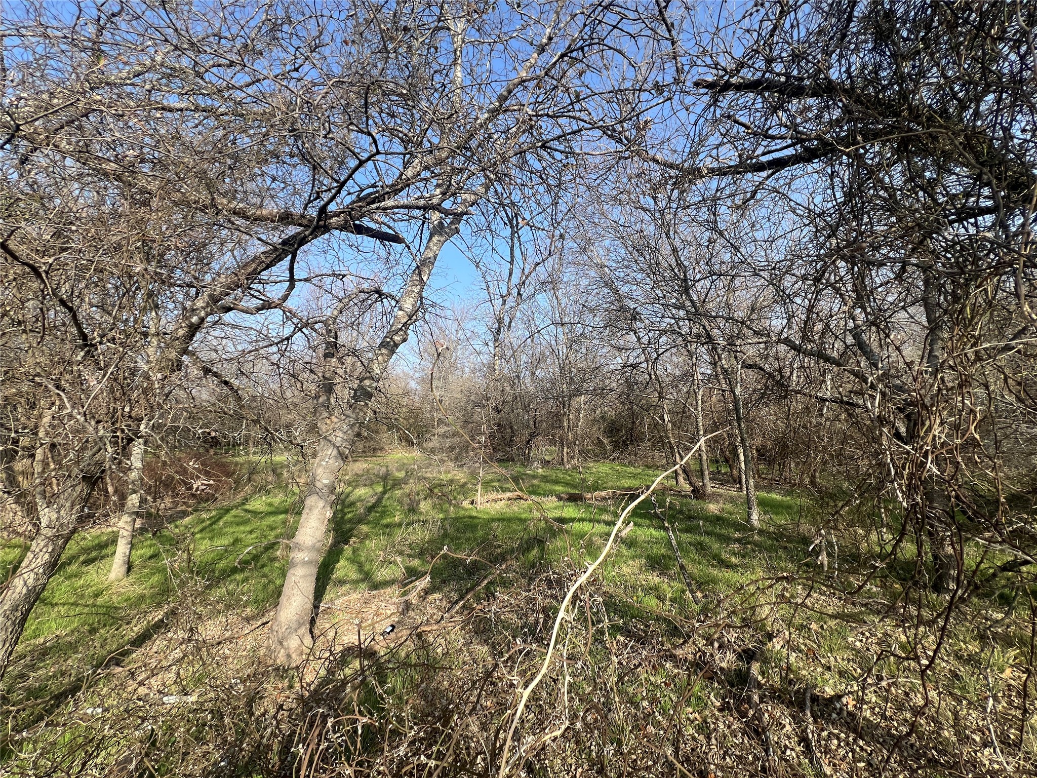 13700 Gholson Road, Gholson, TX, 76705