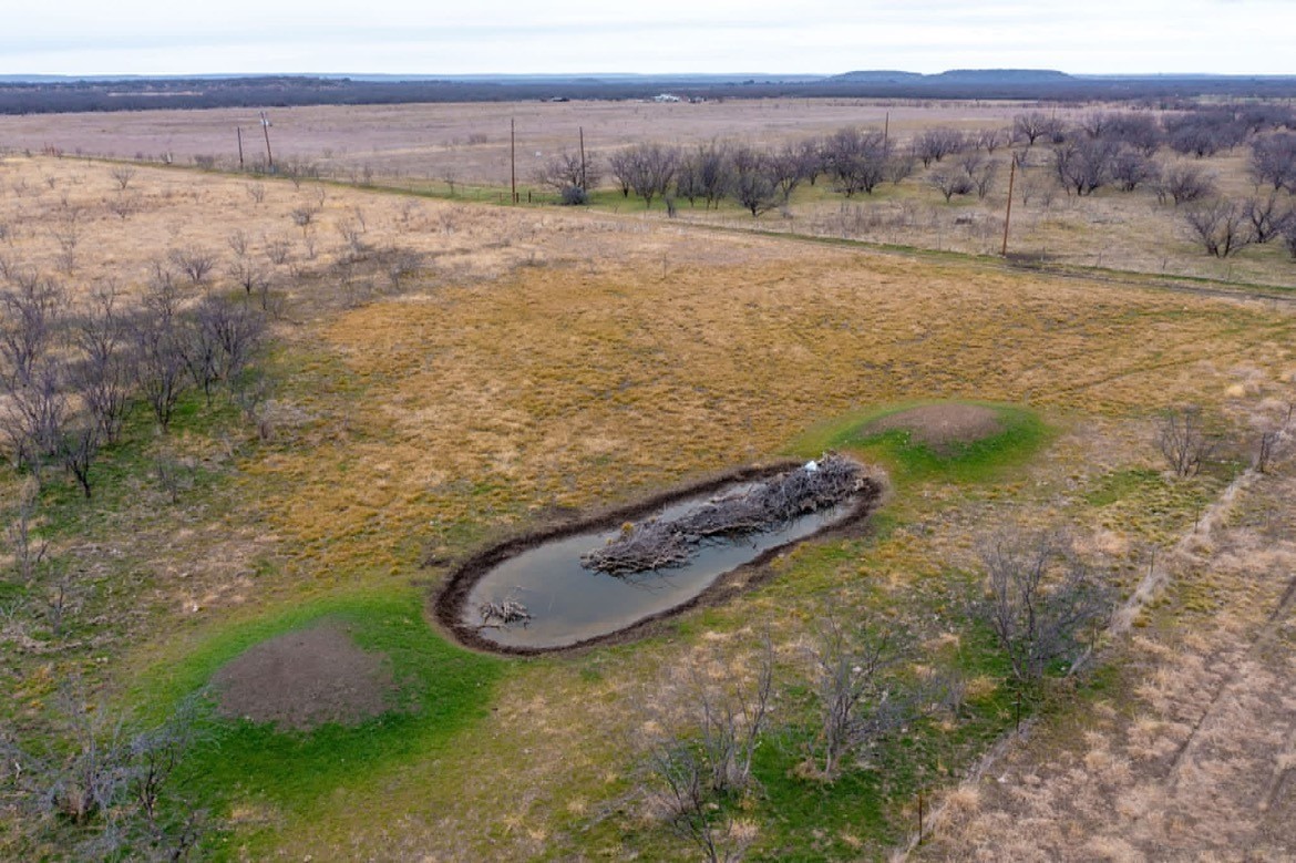 1240 FM 2312, Moran, TX, 76464