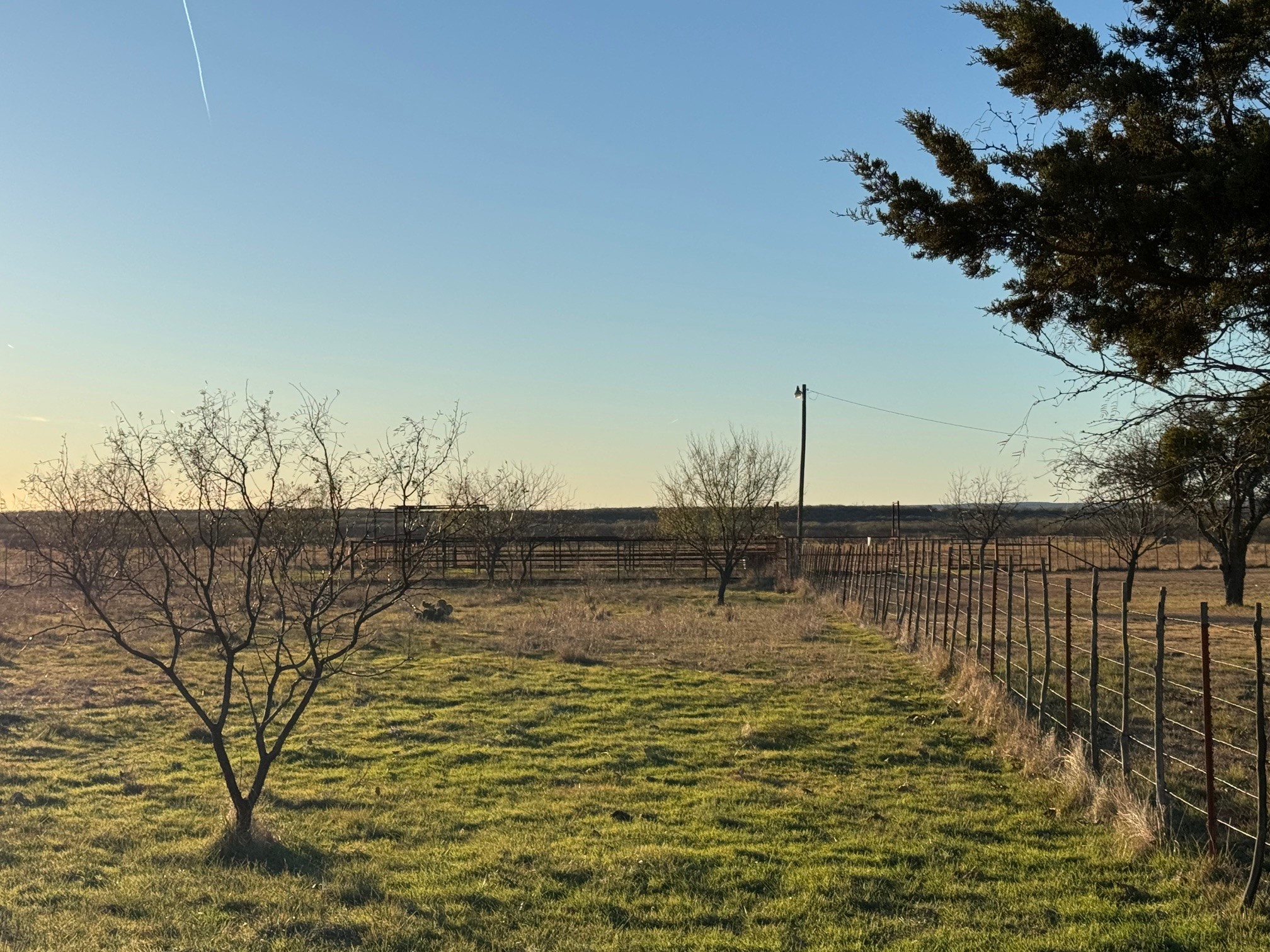 1240 FM 2312, Moran, TX, 76464