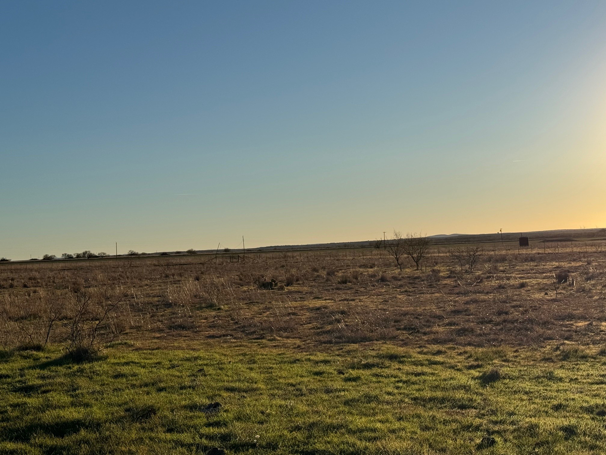1240 FM 2312, Moran, TX, 76464