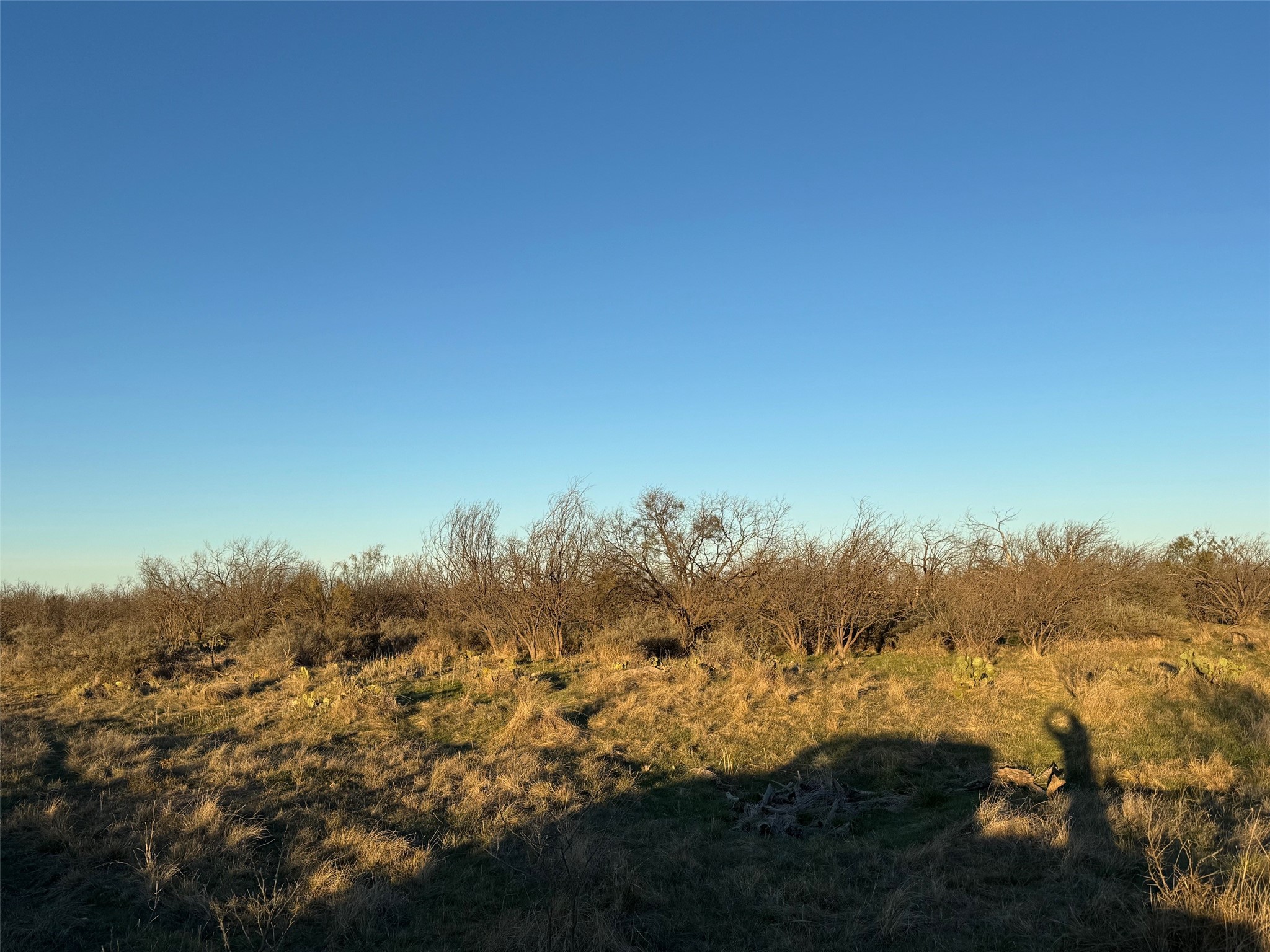 1240 FM 2312, Moran, TX, 76464