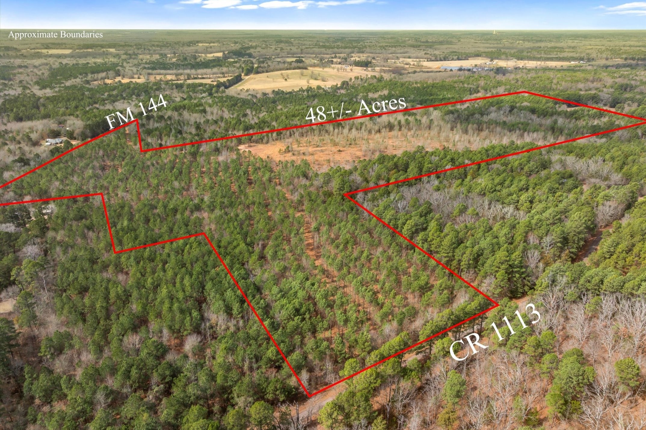 00 Fm-144, Daingerfield, TX, 75638