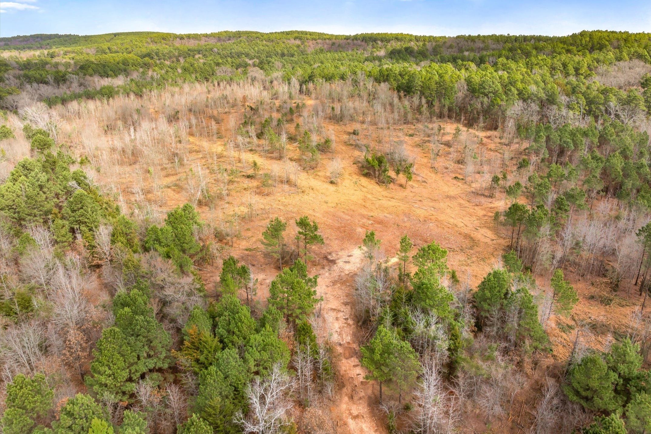 00 Fm-144, Daingerfield, TX, 75638
