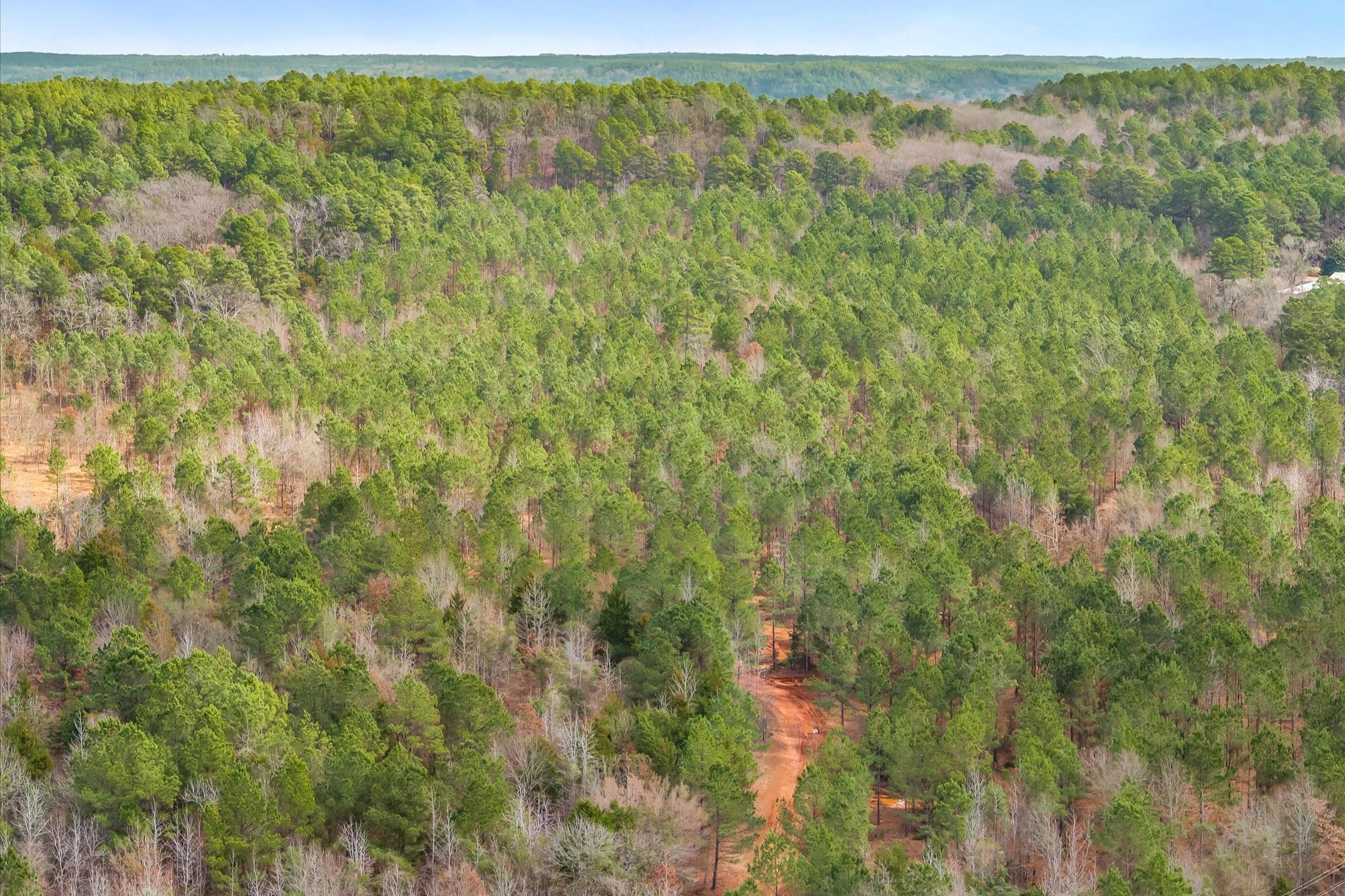 00 Fm-144, Daingerfield, TX, 75638