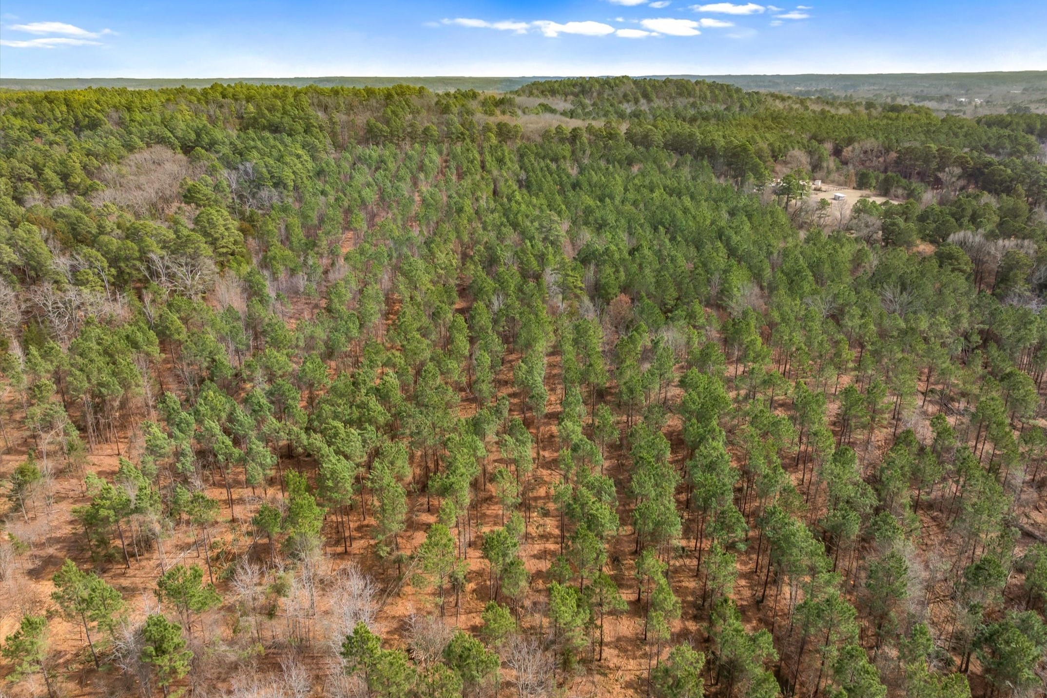 00 Fm-144, Daingerfield, TX, 75638