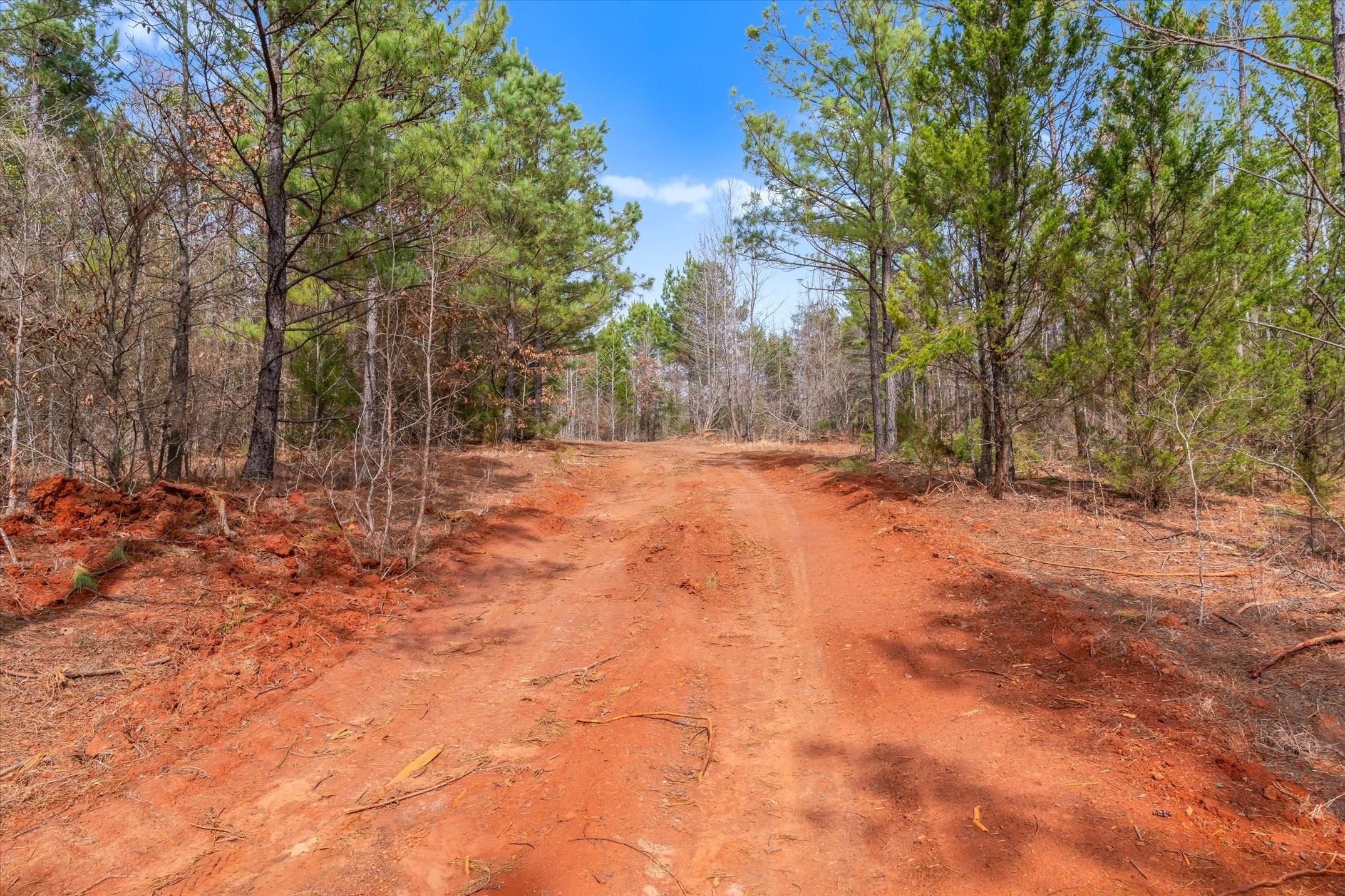 00 Fm-144, Daingerfield, TX, 75638