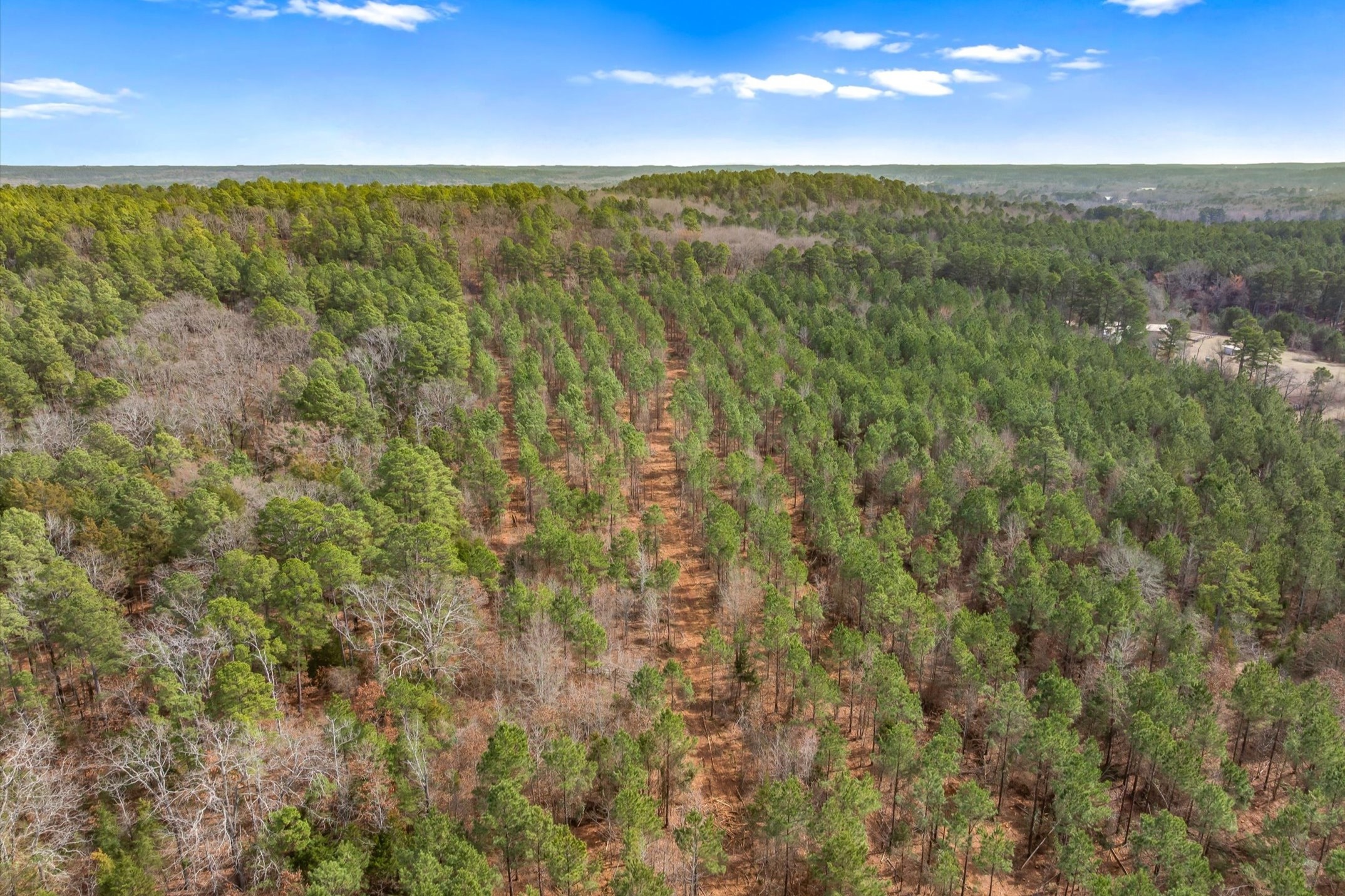 00 Fm-144, Daingerfield, TX, 75638