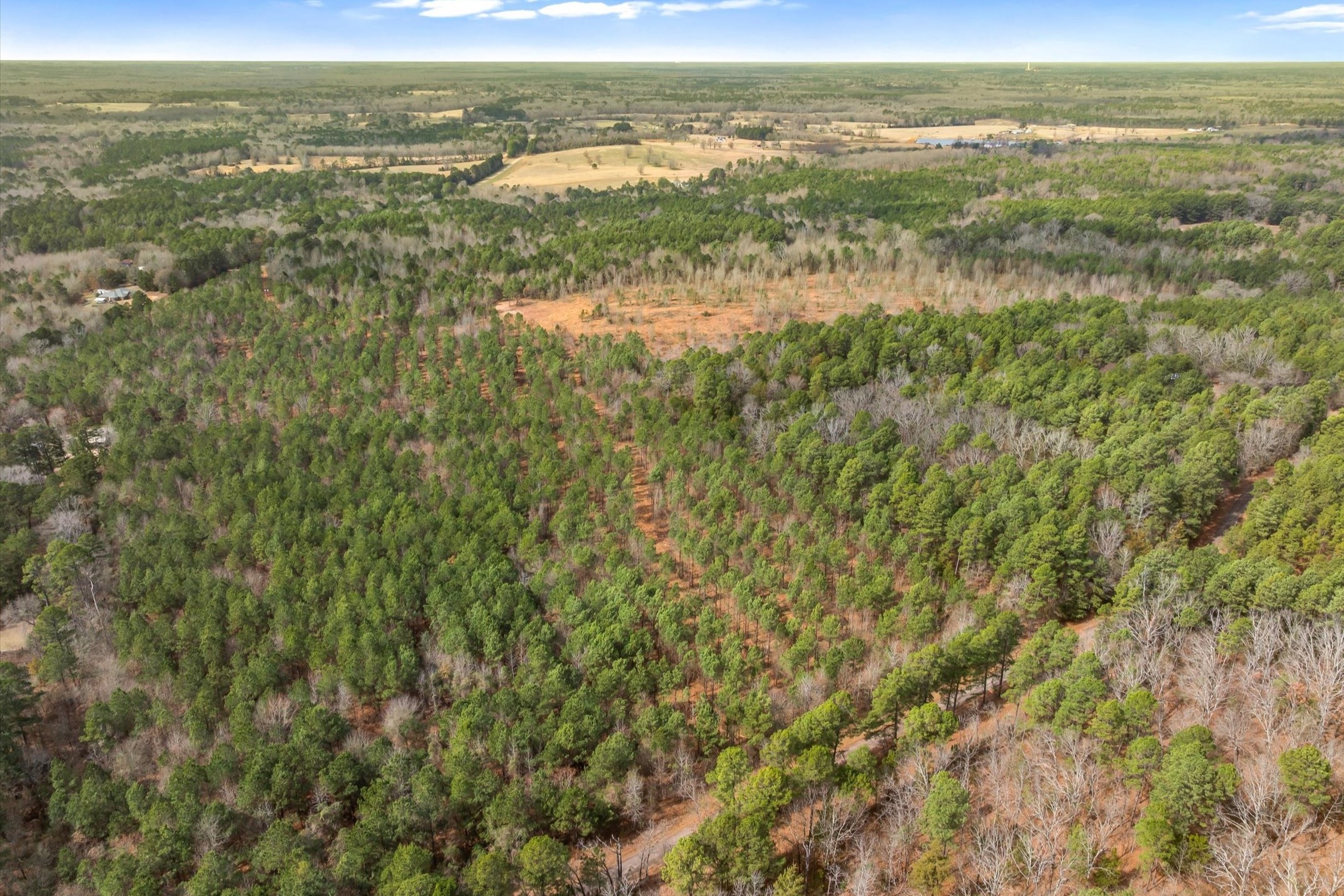 00 Fm-144, Daingerfield, TX, 75638