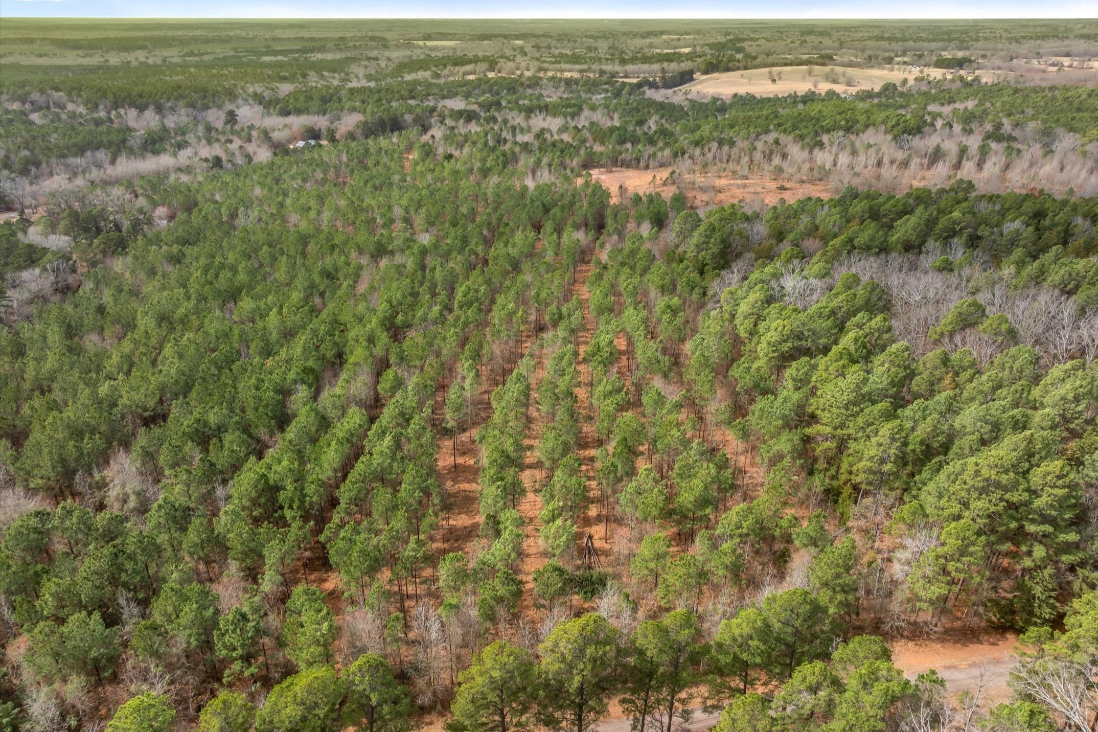 00 Fm-144, Daingerfield, TX, 75638