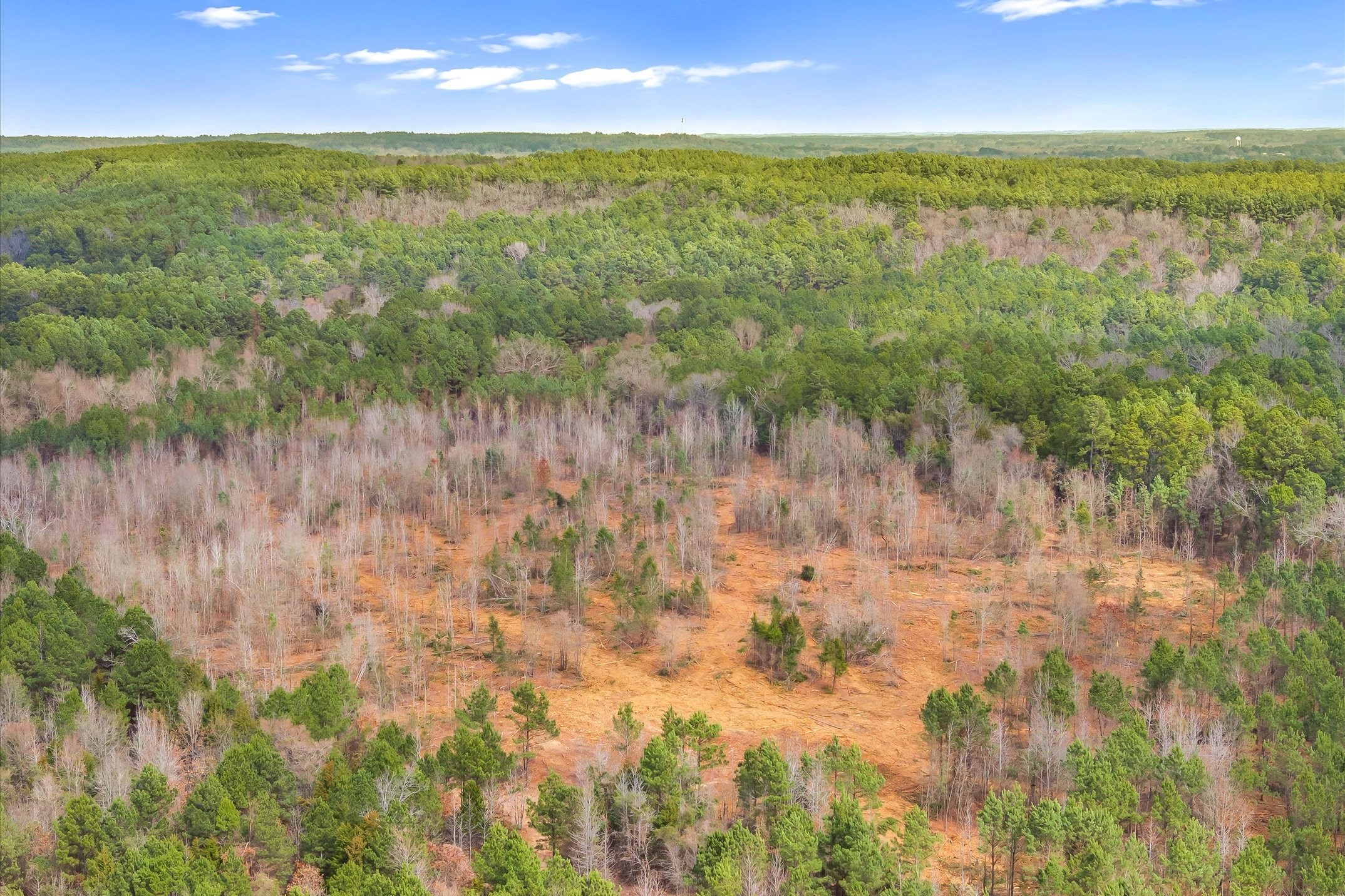 00 Fm-144, Daingerfield, TX, 75638