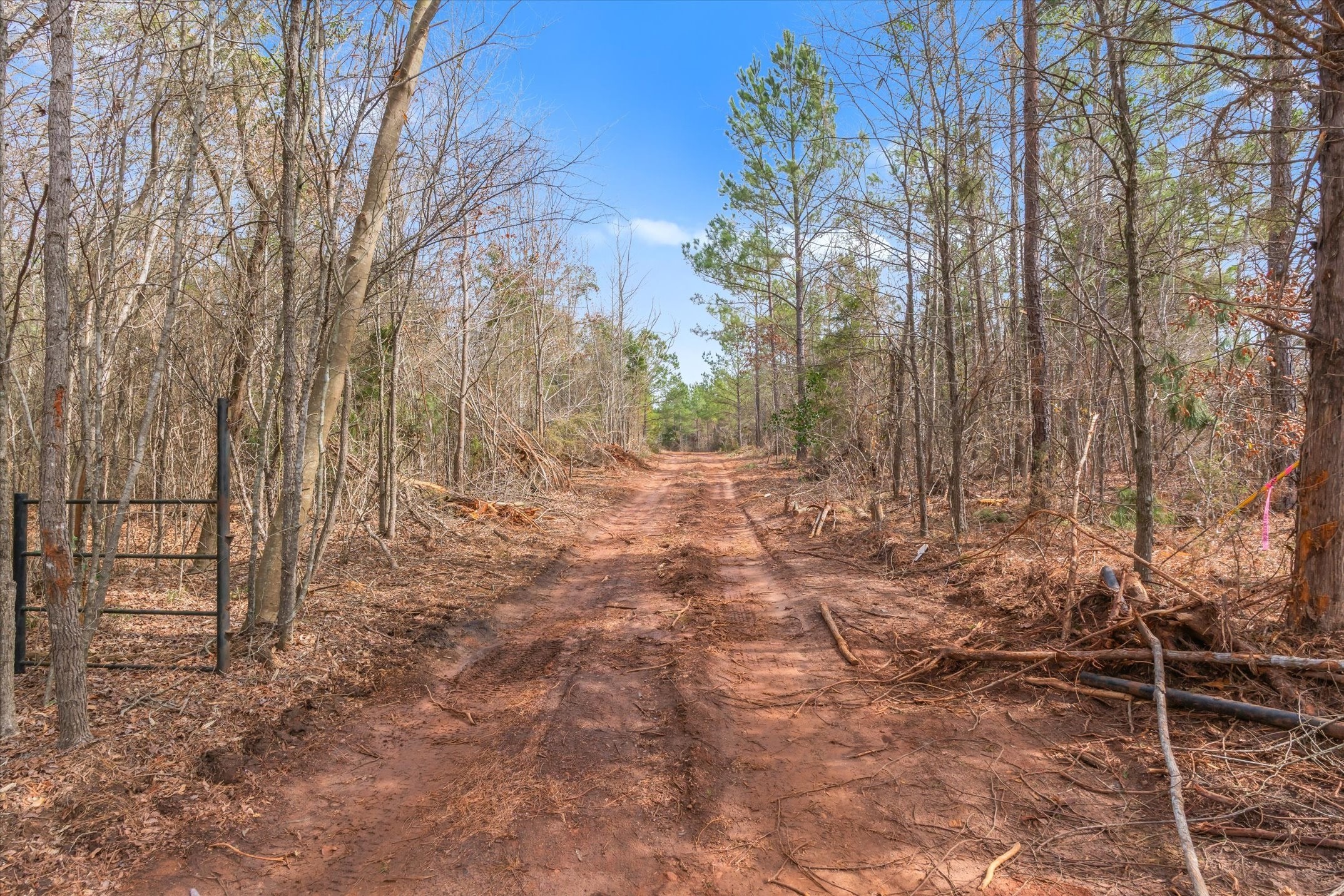 00 Fm-144, Daingerfield, TX, 75638