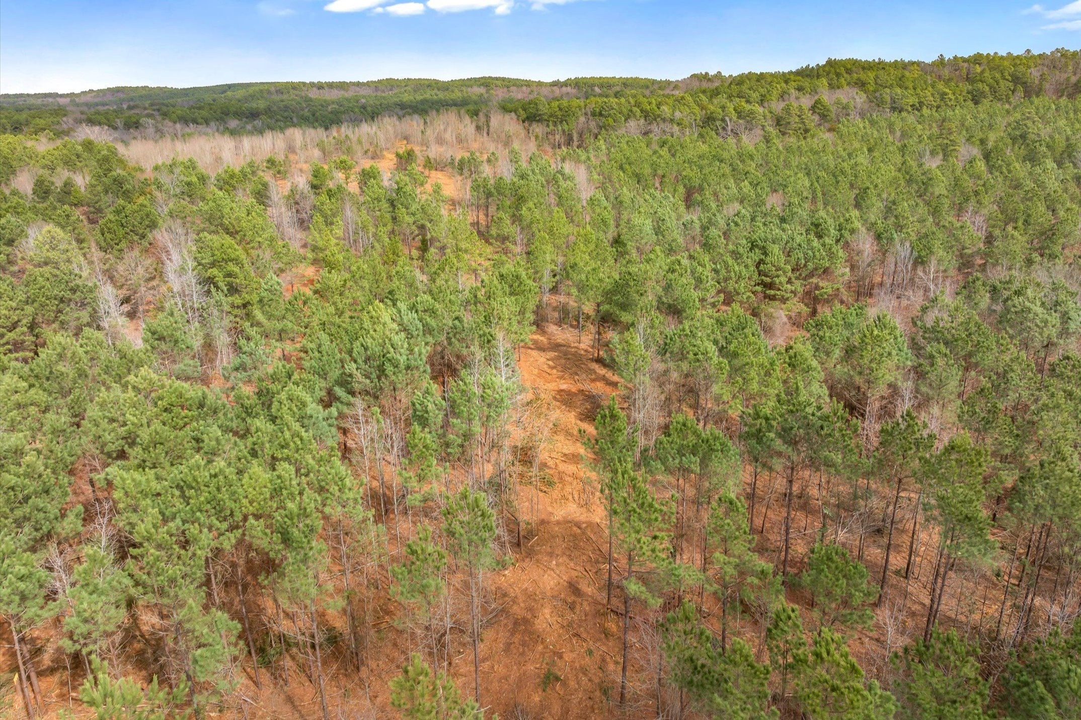 00 Fm-144, Daingerfield, TX, 75638