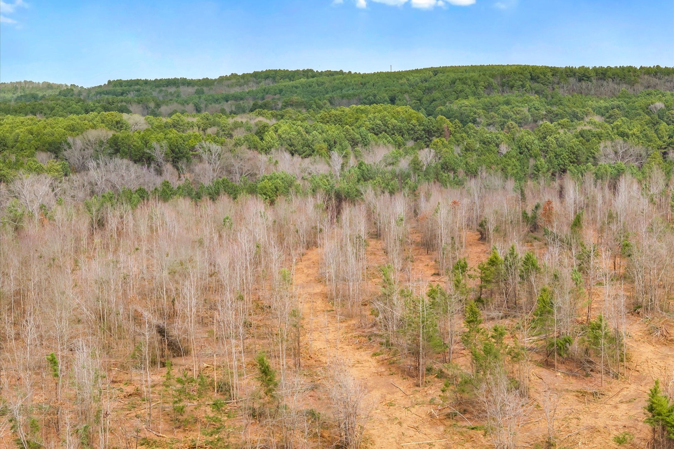 00 Fm-144, Daingerfield, TX, 75638