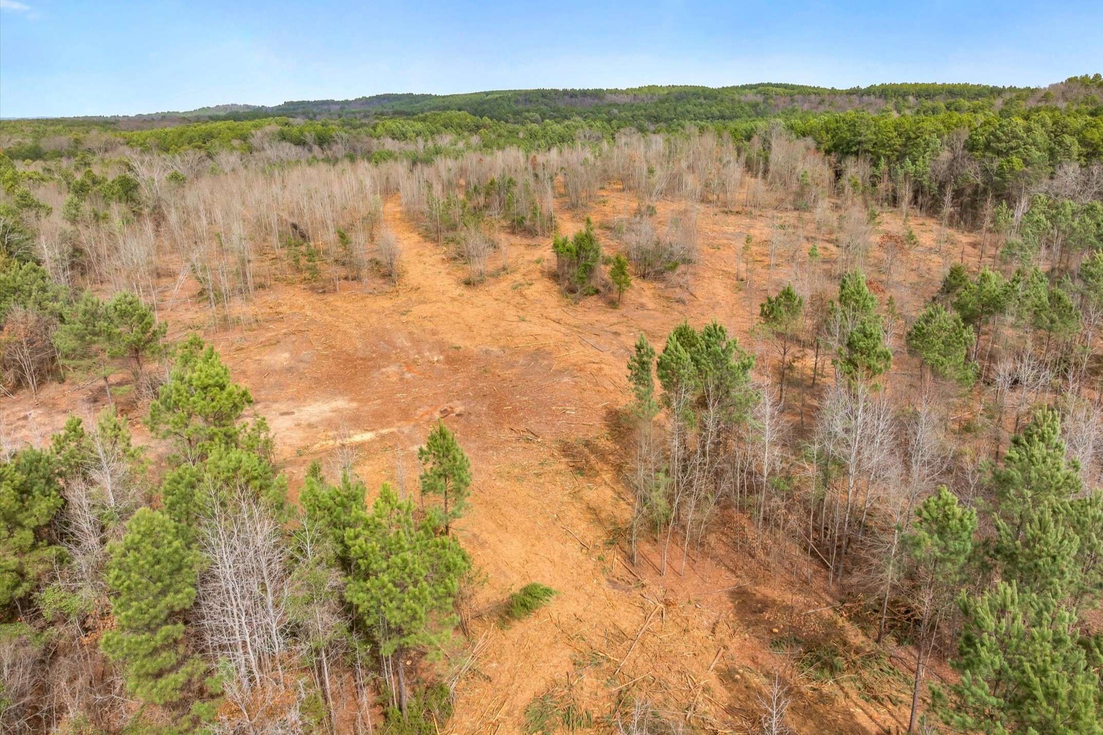 00 Fm-144, Daingerfield, TX, 75638