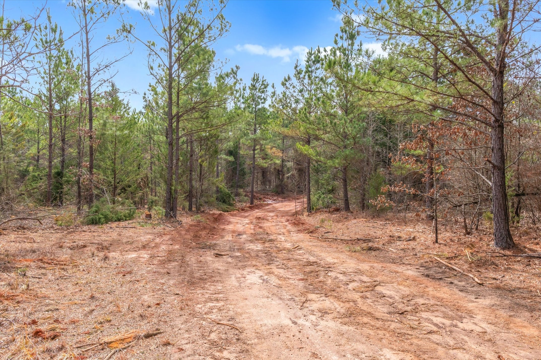 00 Fm-144, Daingerfield, TX, 75638