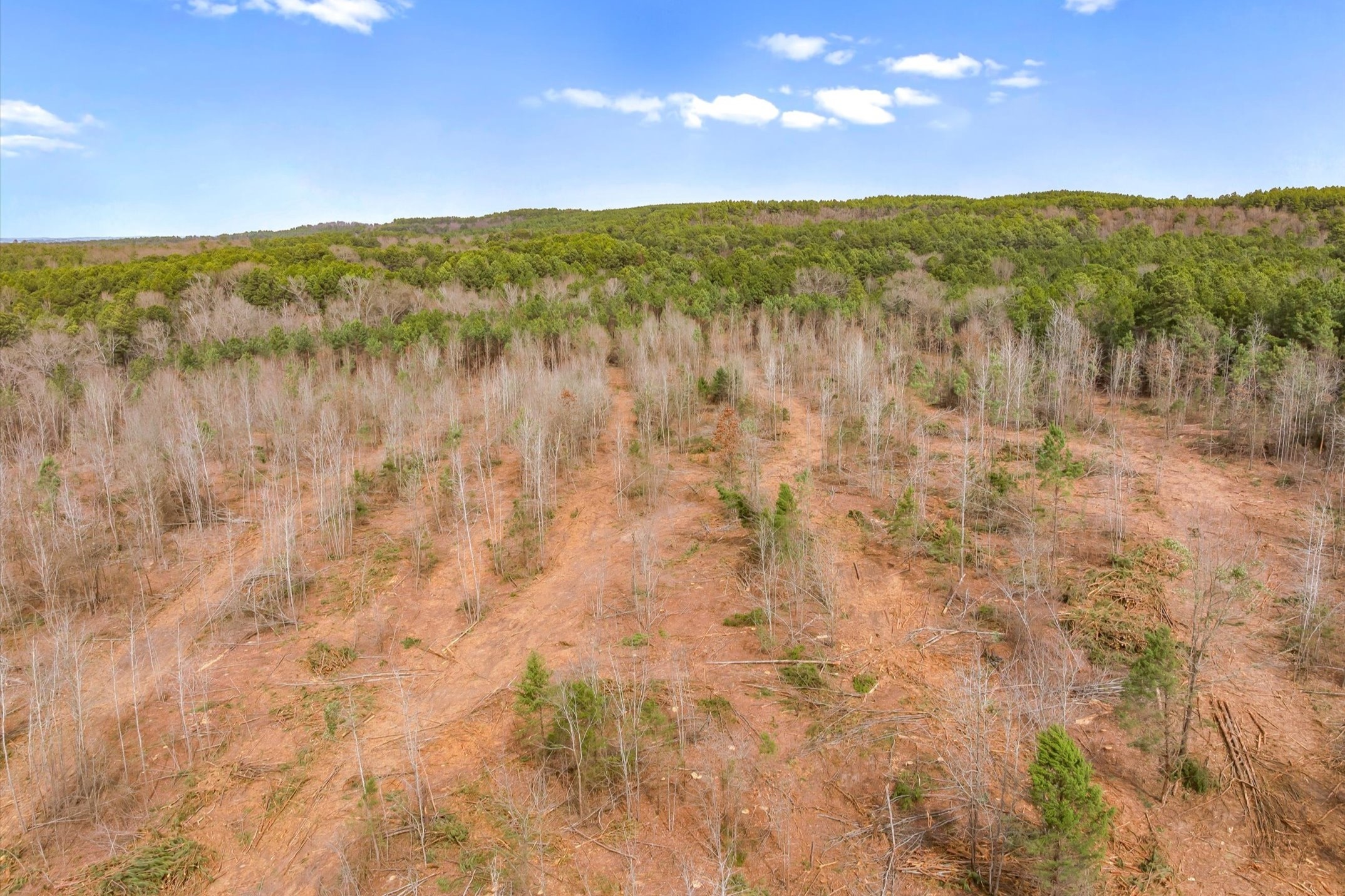 00 Fm-144, Daingerfield, TX, 75638