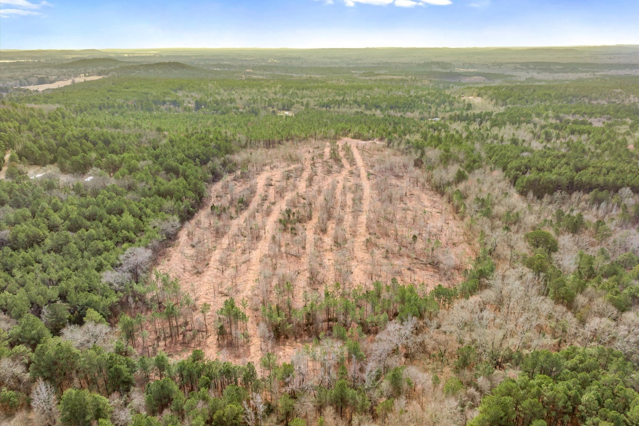 00 Fm-144, Daingerfield, TX, 75638