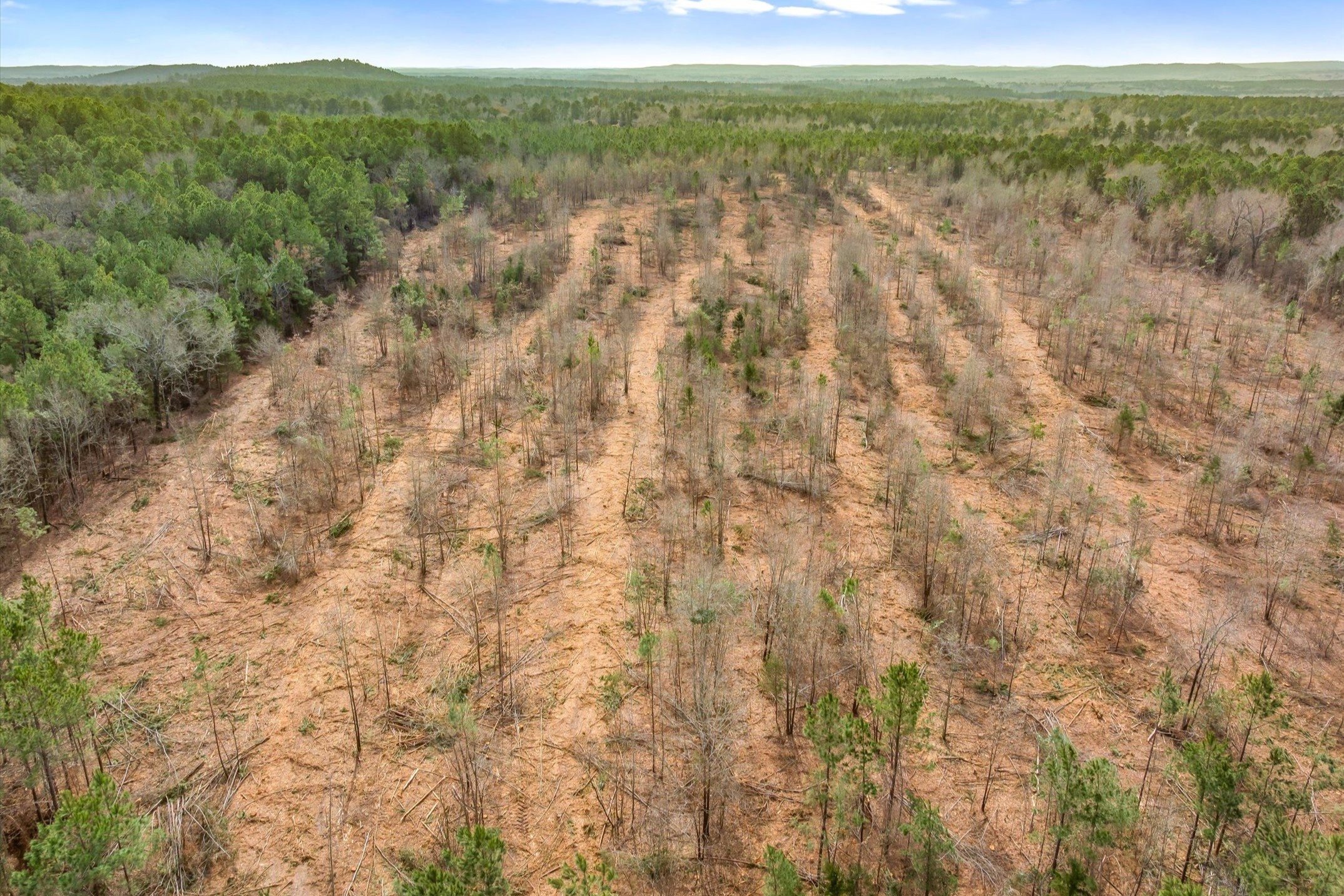 00 Fm-144, Daingerfield, TX, 75638