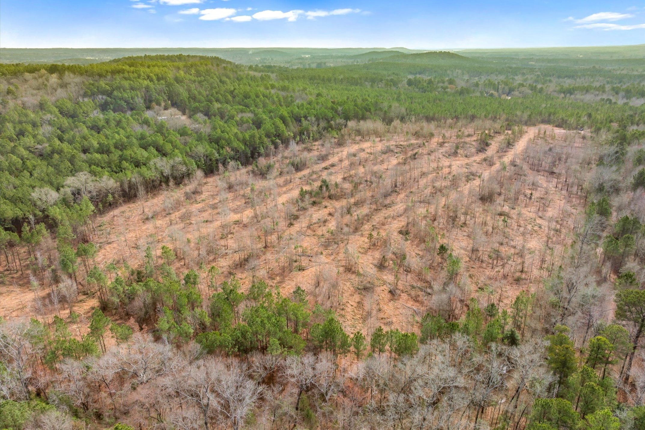 00 Fm-144, Daingerfield, TX, 75638