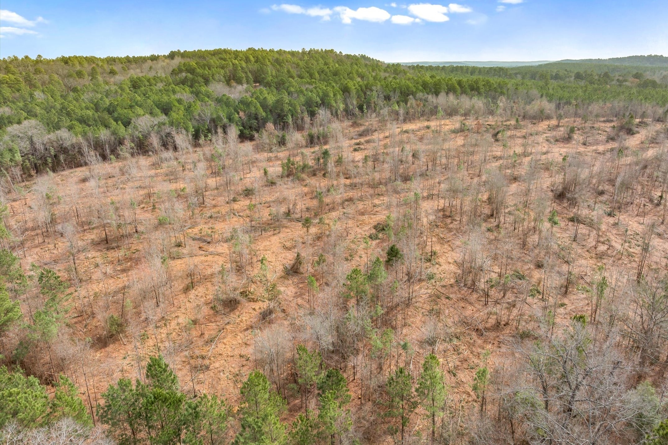 00 Fm-144, Daingerfield, TX, 75638