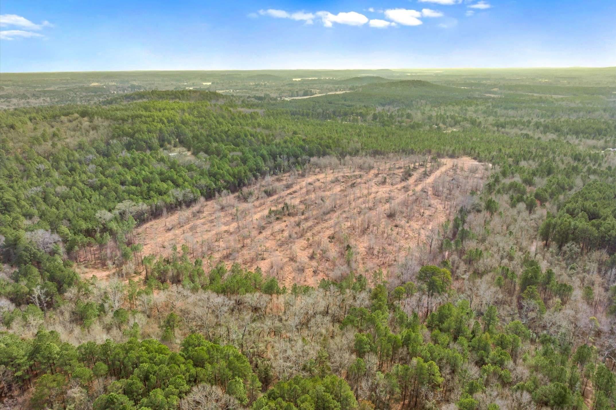 00 Fm-144, Daingerfield, TX, 75638