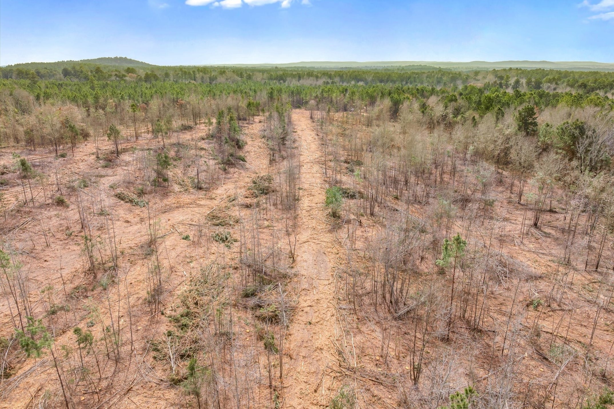 00 Fm-144, Daingerfield, TX, 75638
