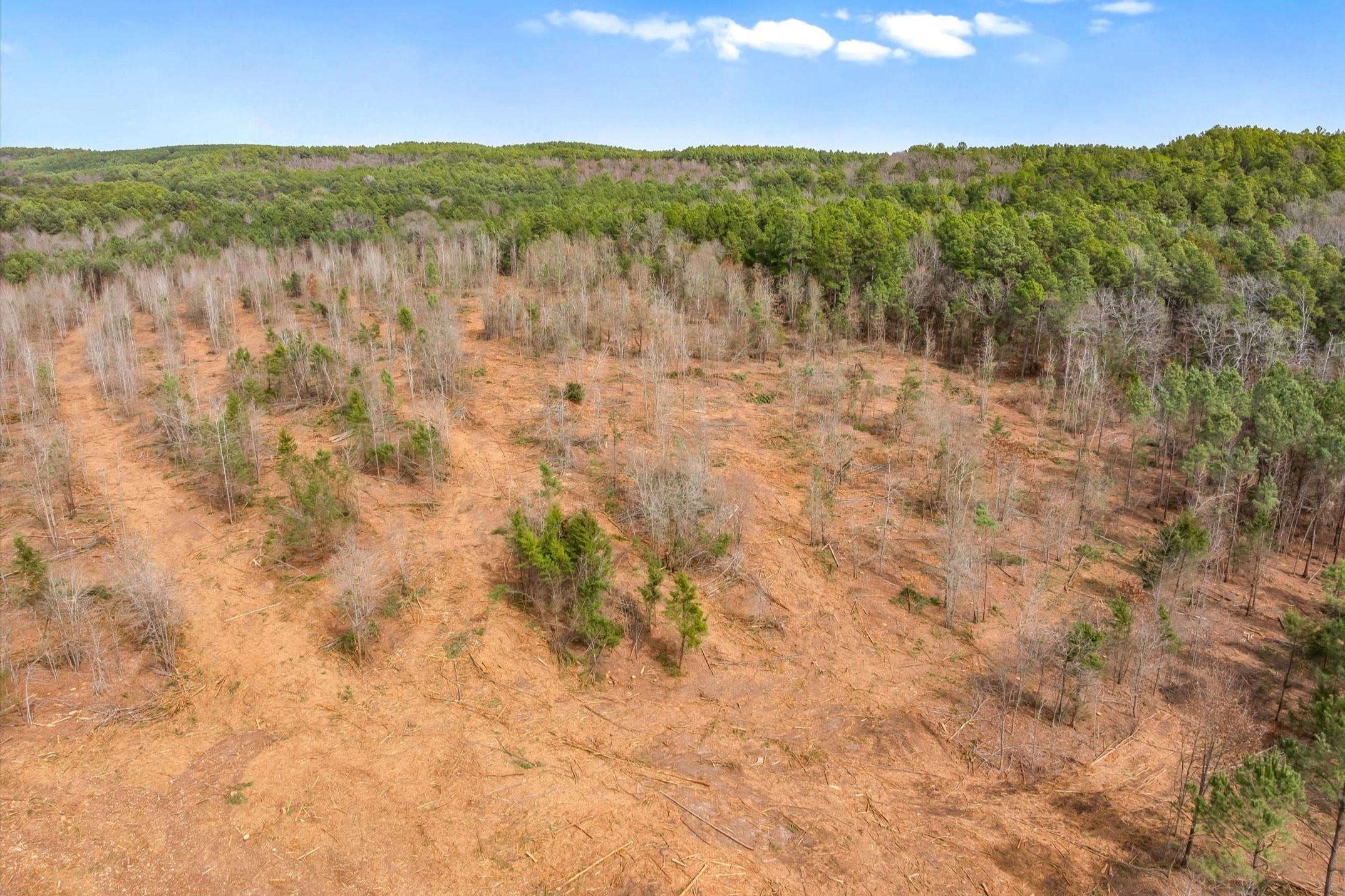 00 Fm-144, Daingerfield, TX, 75638