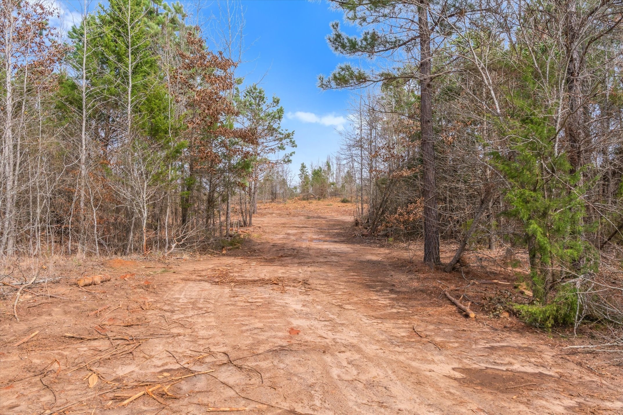 00 Fm-144, Daingerfield, TX, 75638