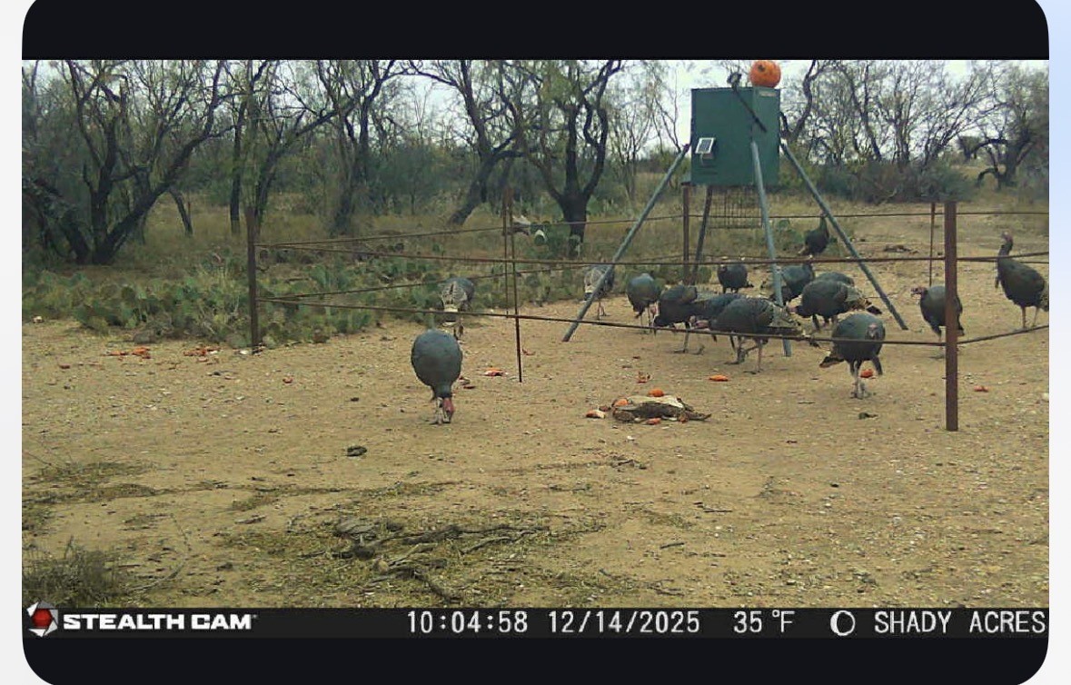 8108 FM2111, Winters, TX, 79567
