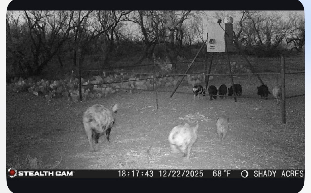 8108 FM2111, Winters, TX, 79567